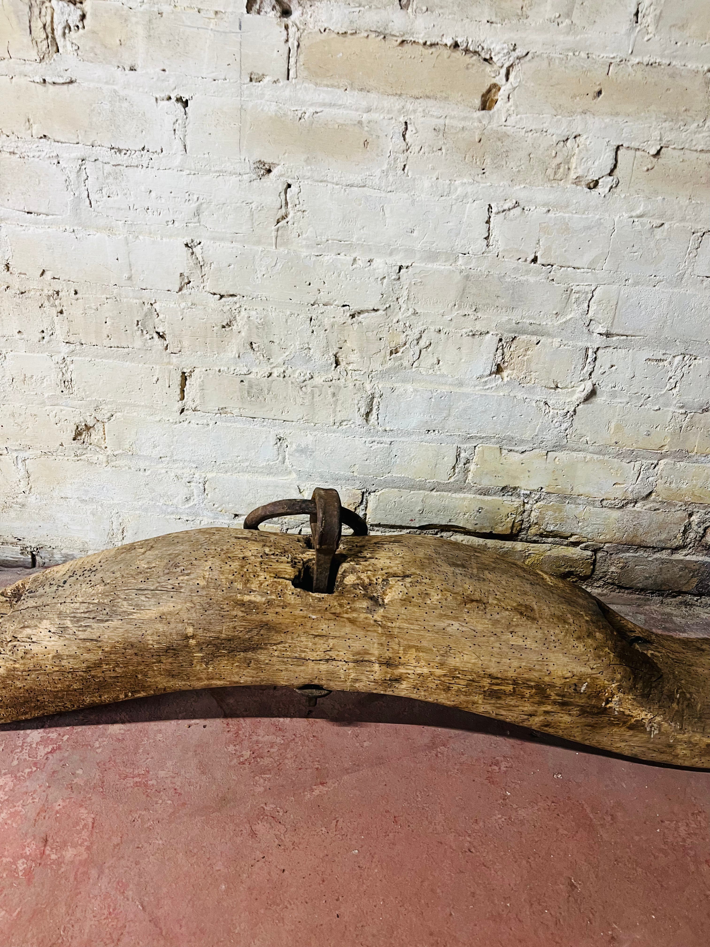 Primitive Oxen Yoke