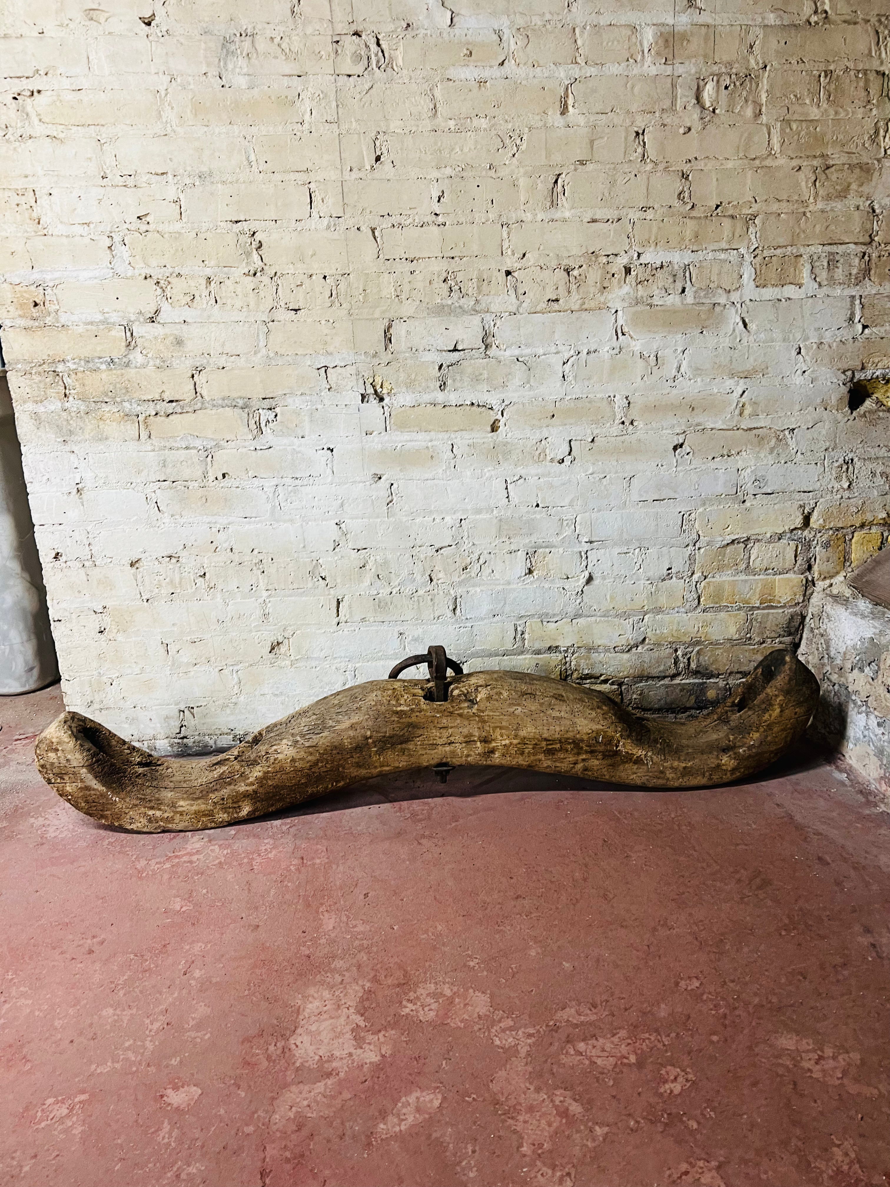 Primitive Oxen Yoke