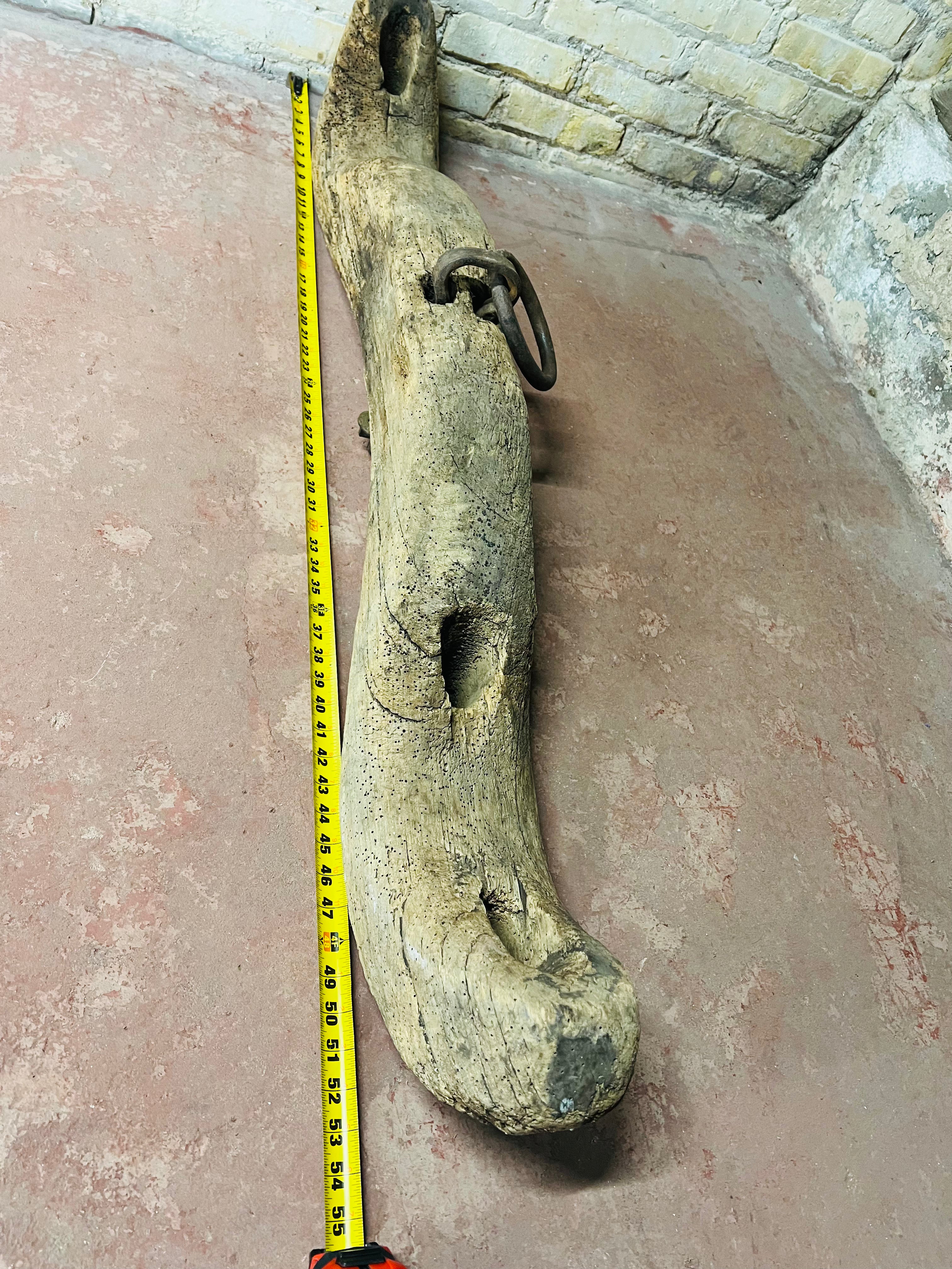 Primitive Oxen Yoke