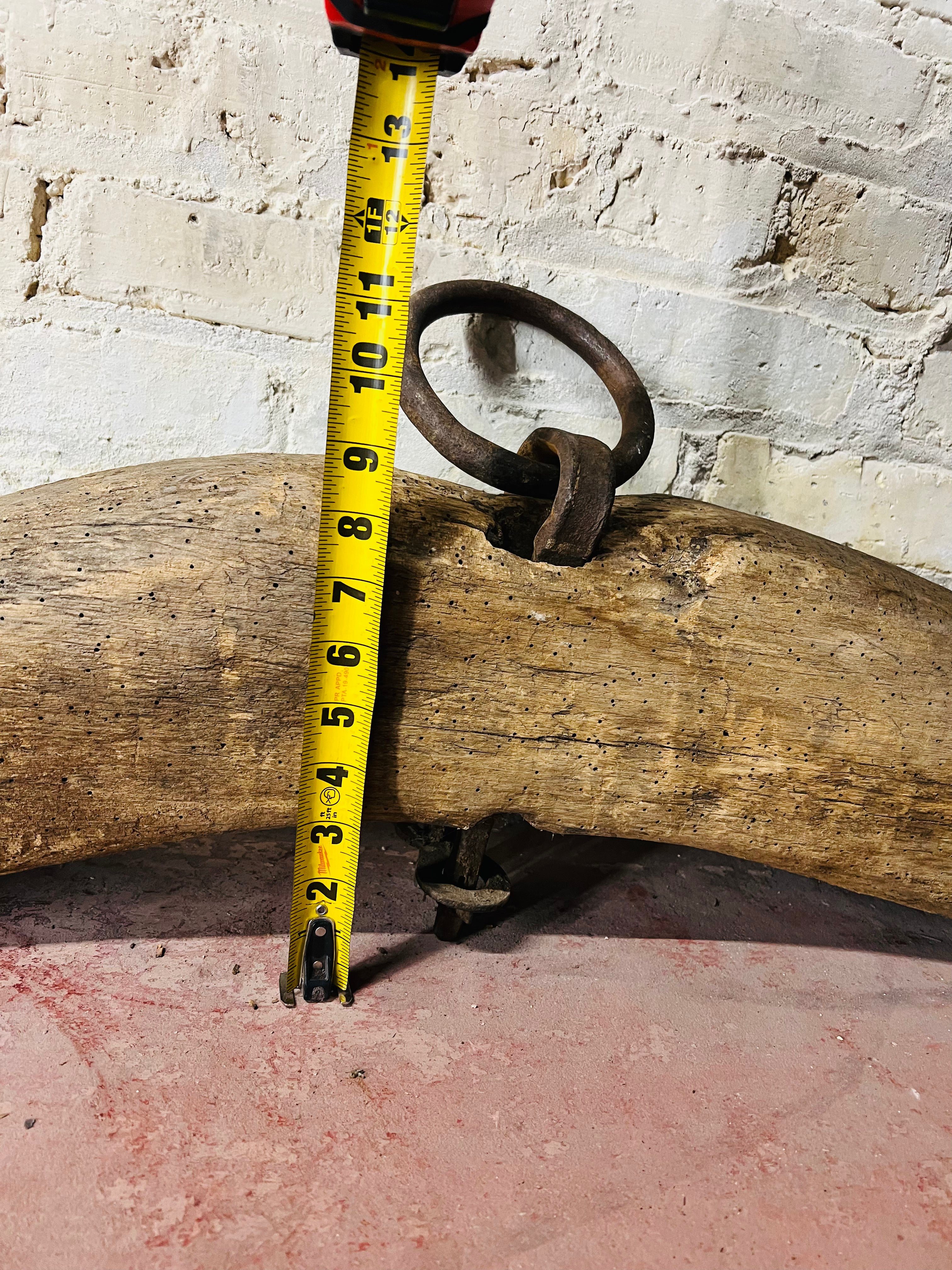 Primitive Oxen Yoke