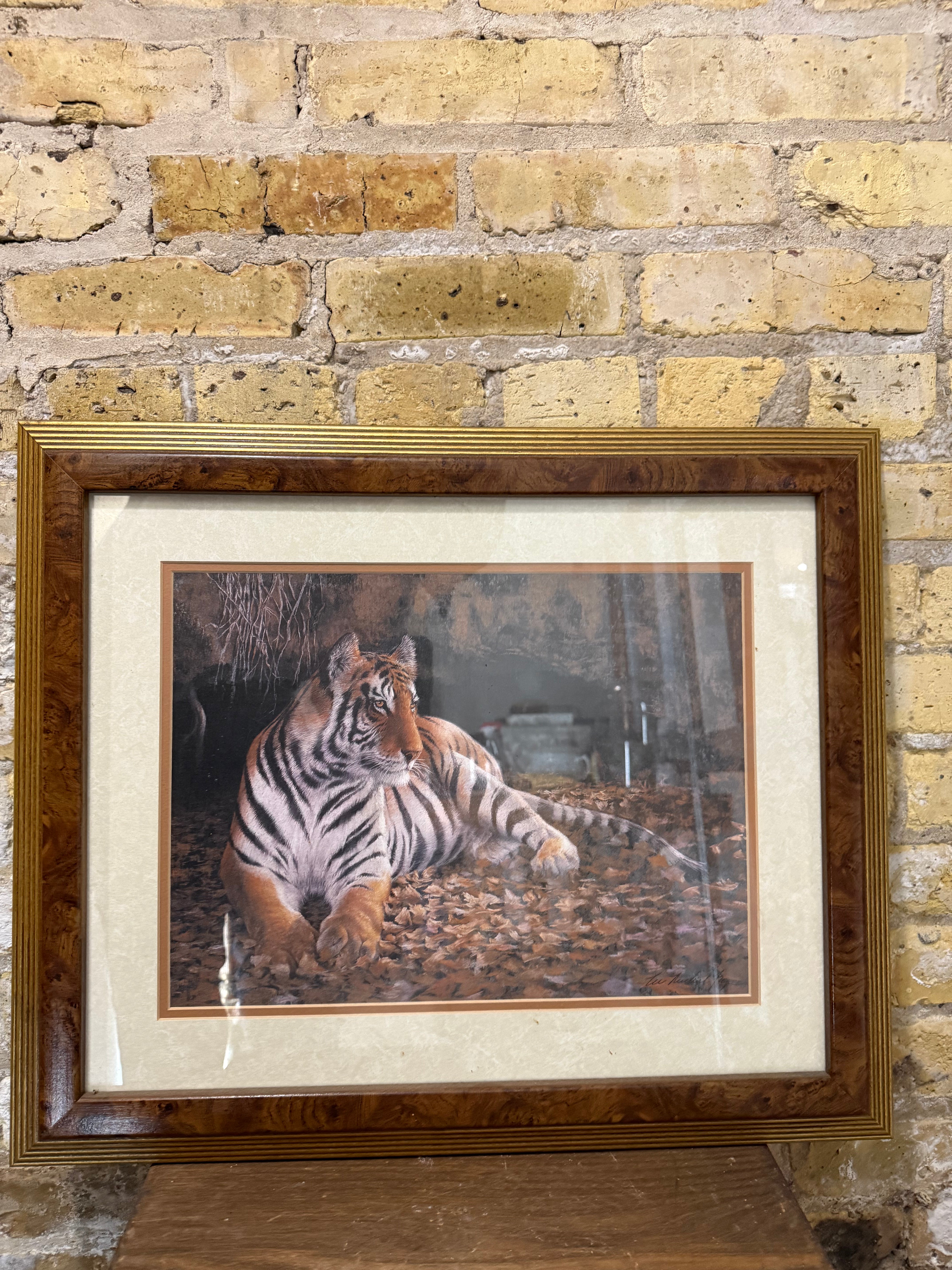 Vintage Tiger Print - Framed