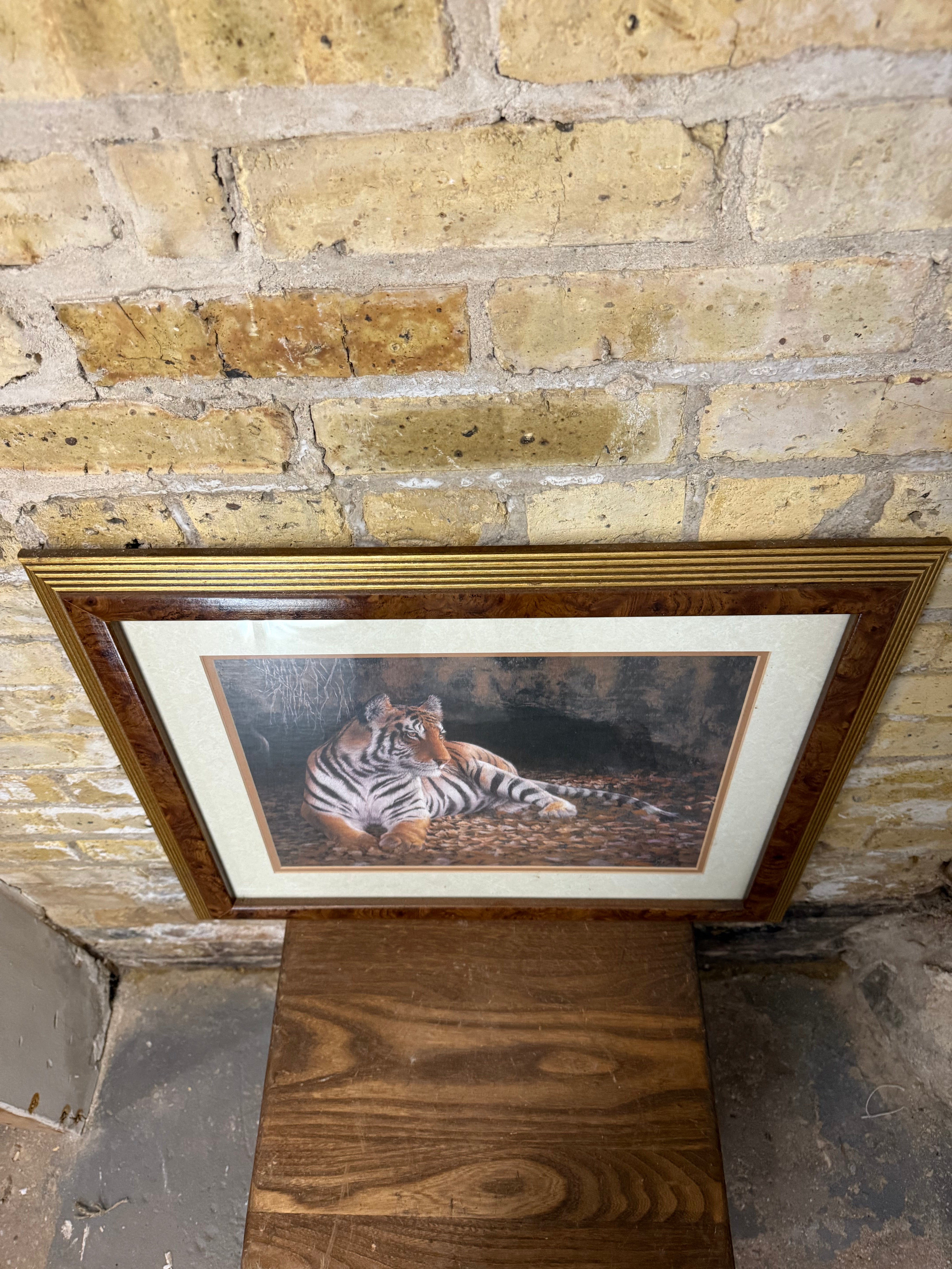 Vintage Tiger Print - Framed
