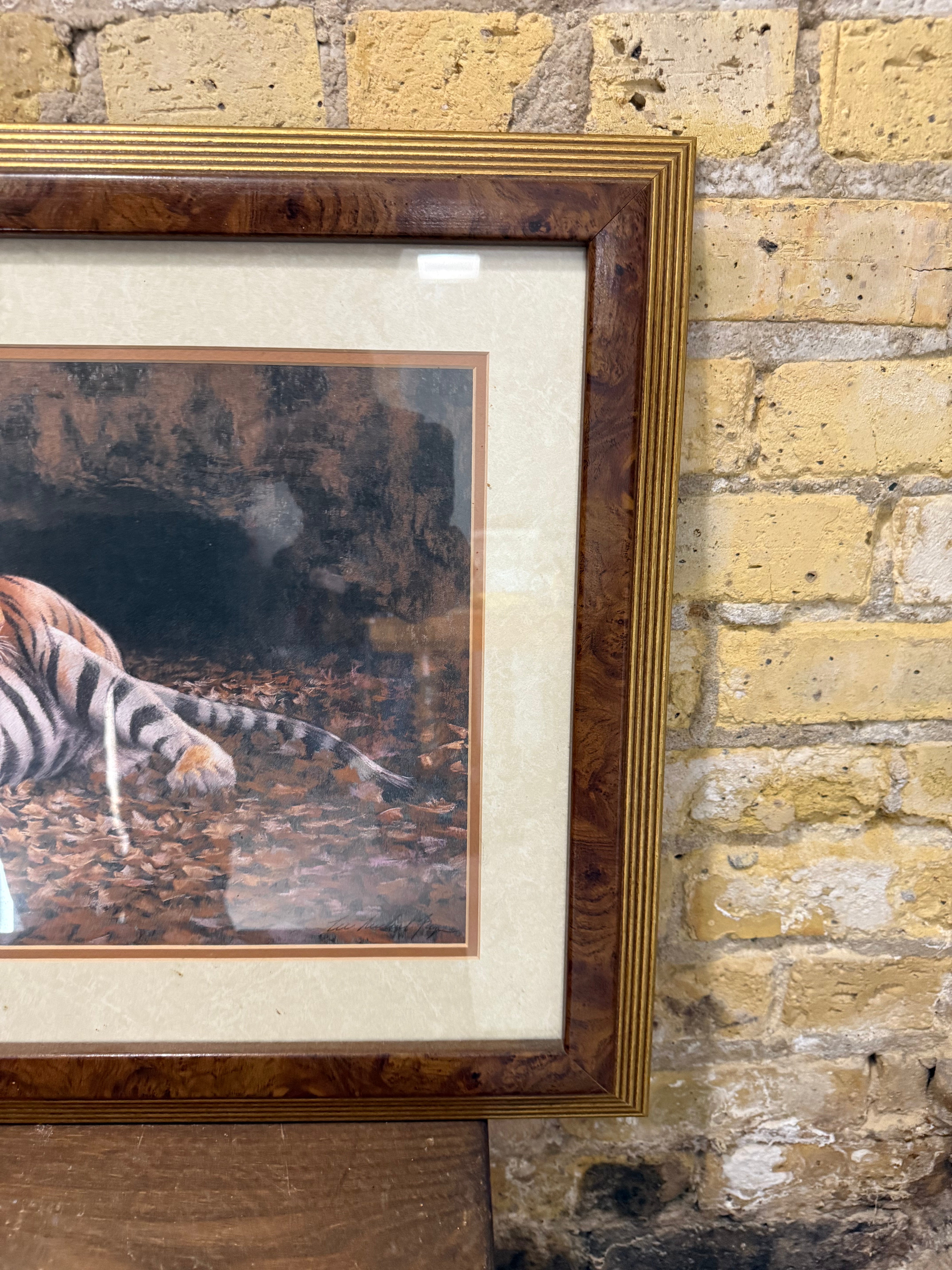Vintage Tiger Print - Framed