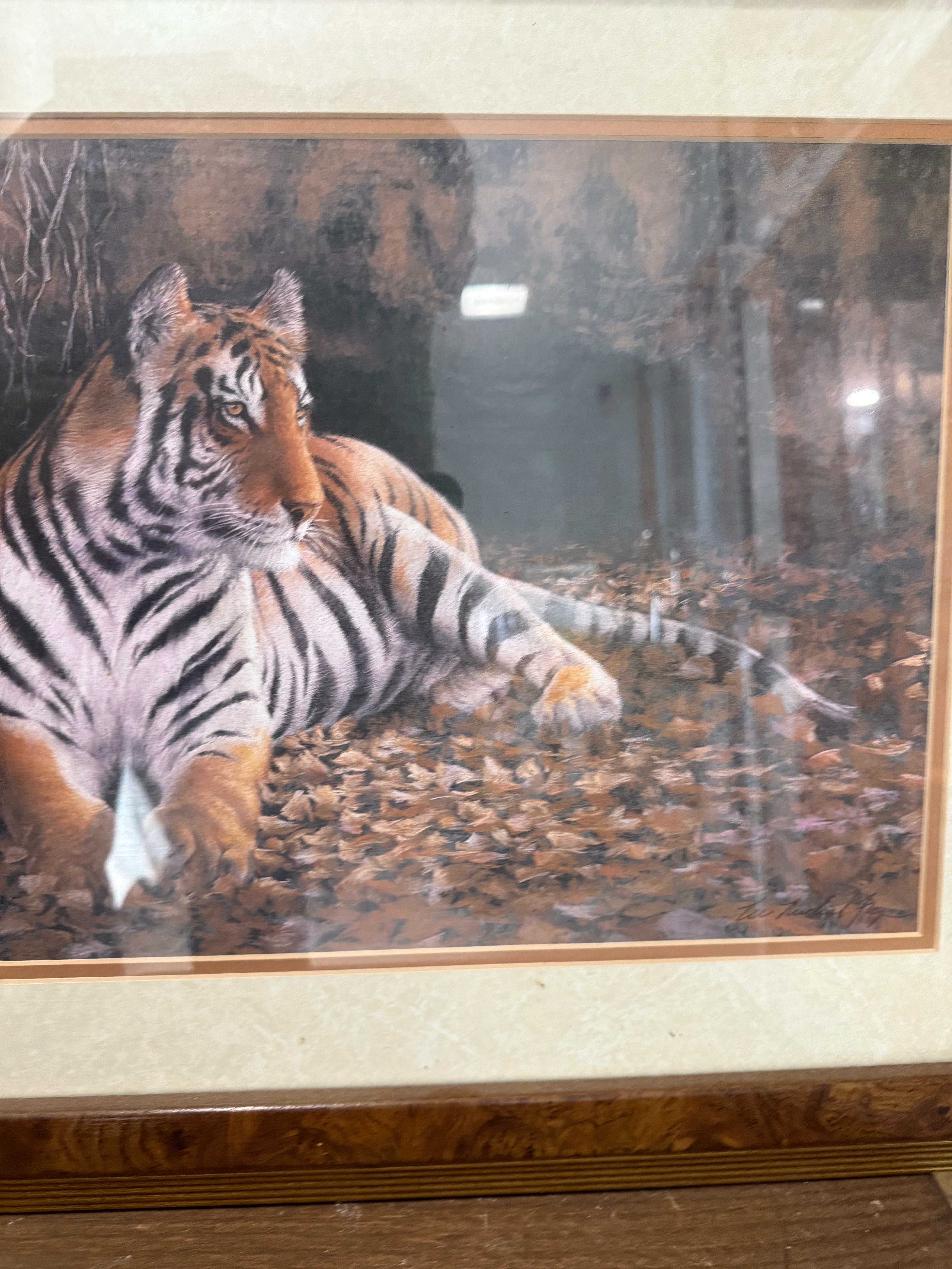 Vintage Tiger Print - Framed
