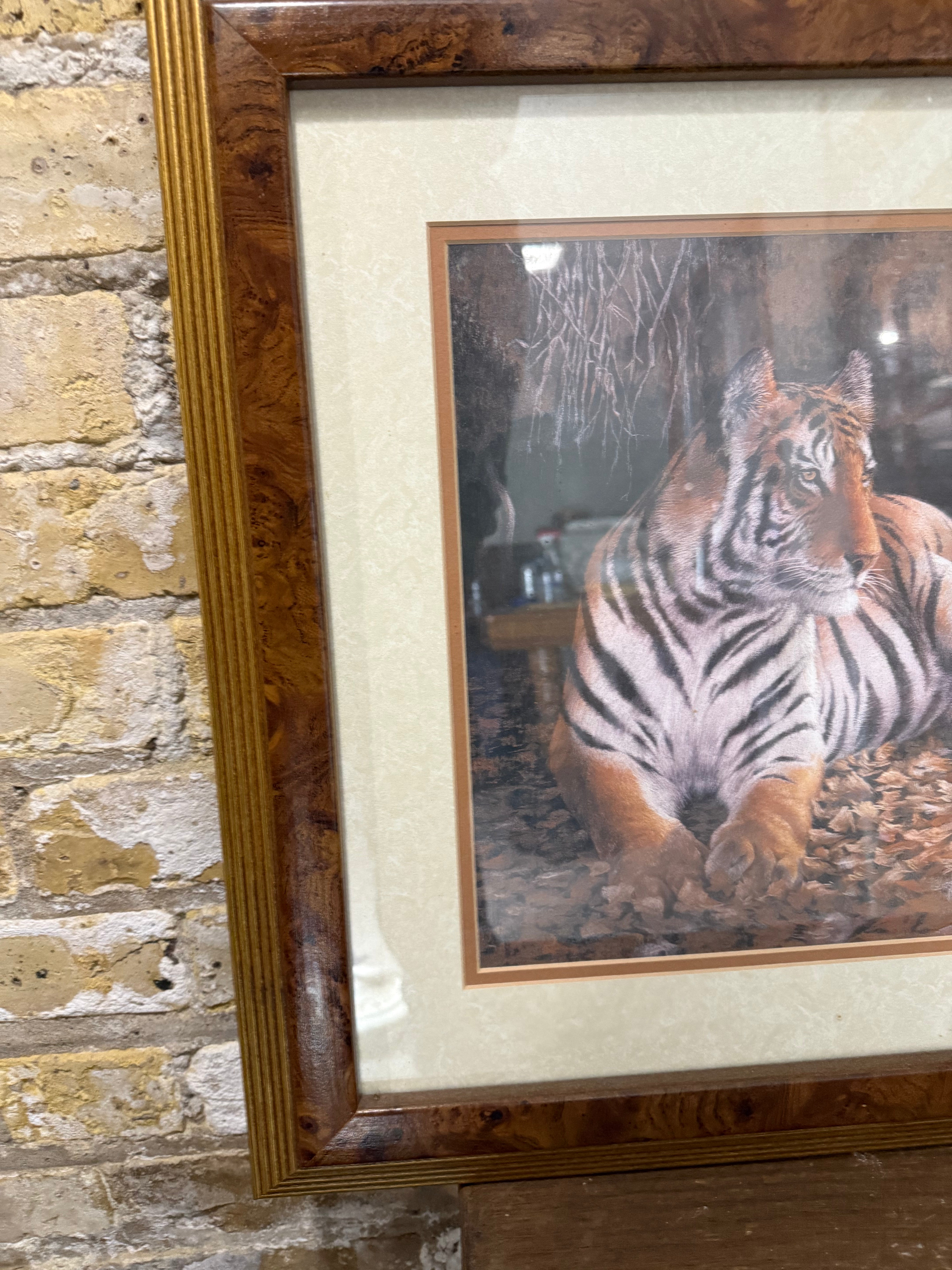 Vintage Tiger Print - Framed