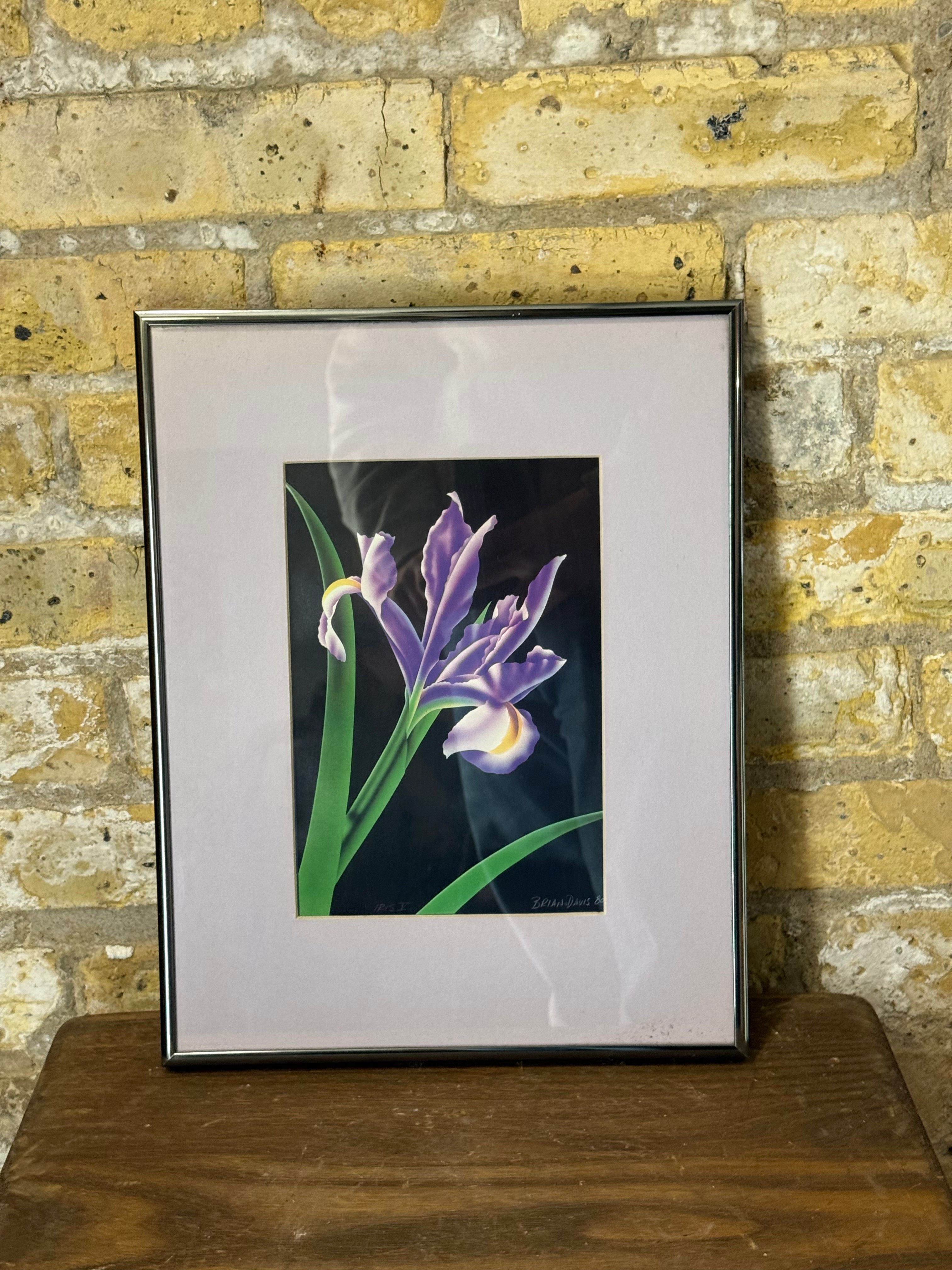 Brian Davis "Iris IV" Limited Edition Print