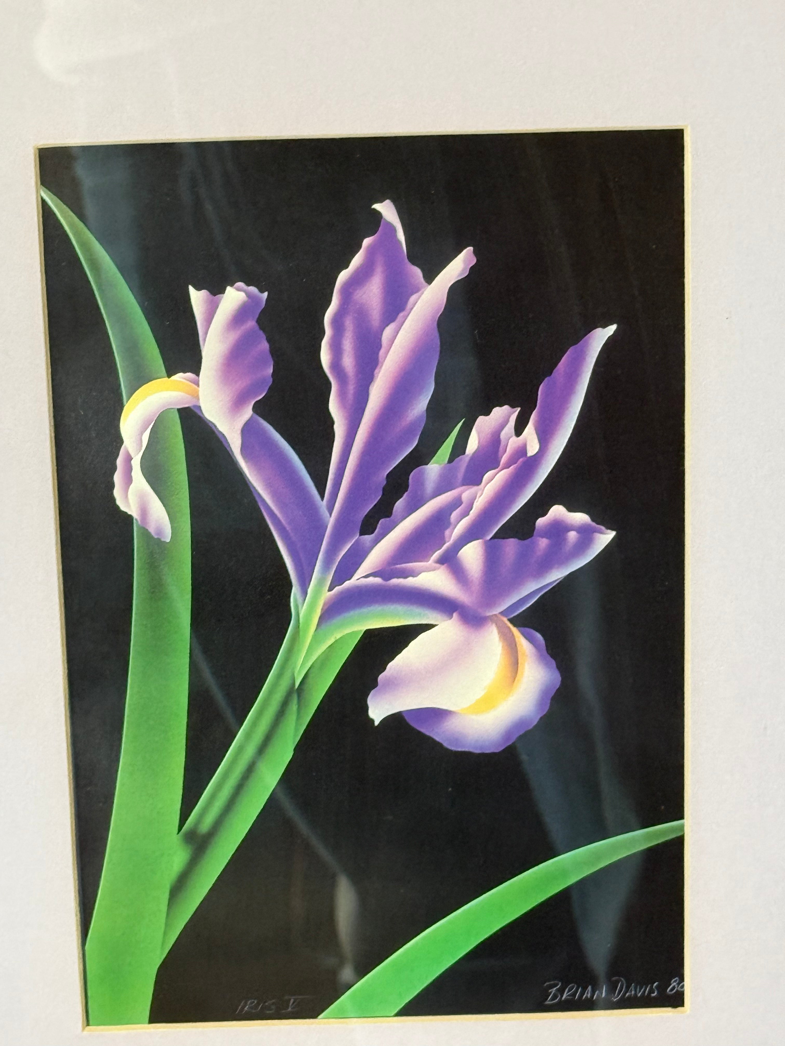 Brian Davis "Iris IV" Limited Edition Print