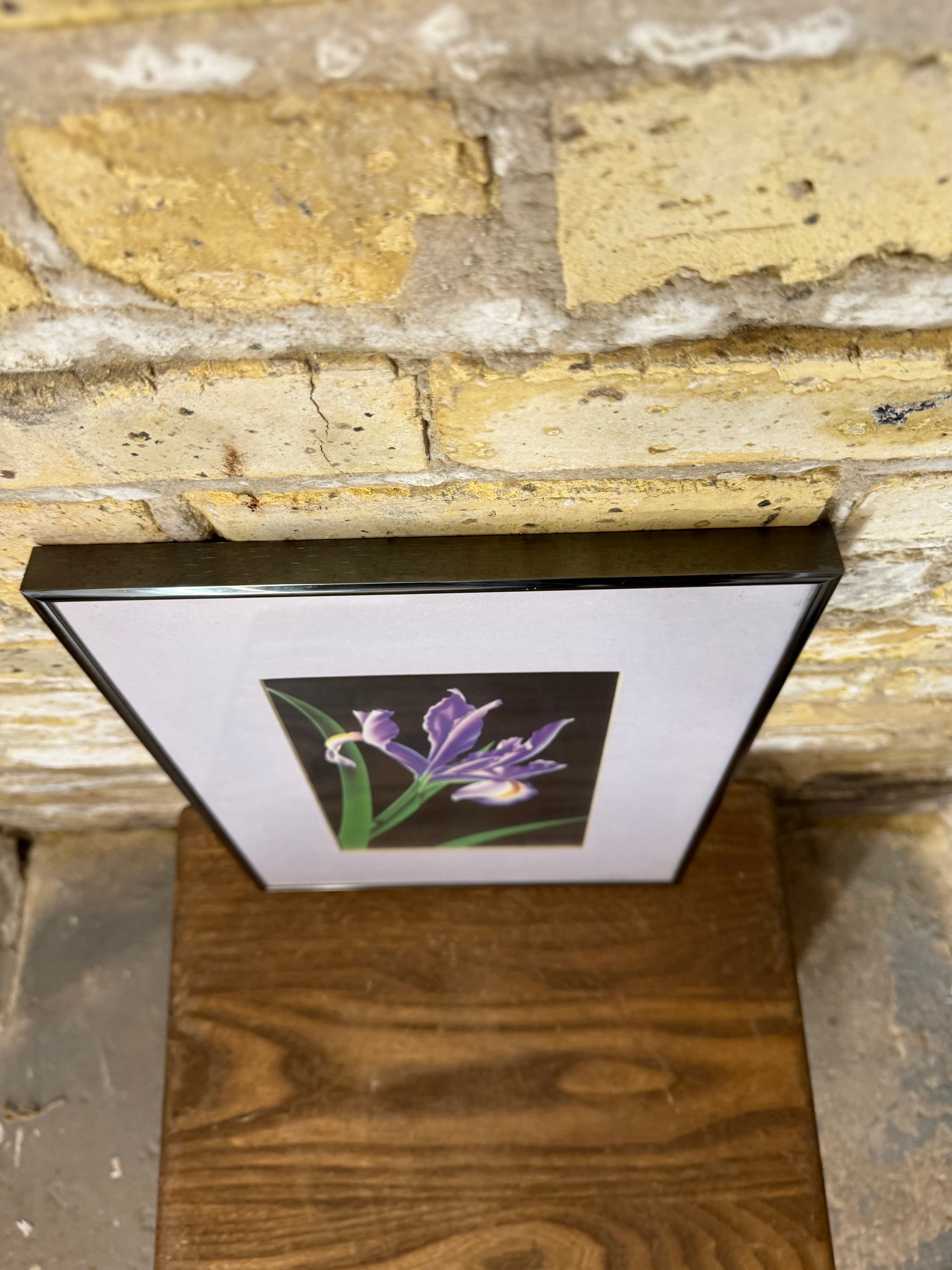 Brian Davis "Iris IV" Limited Edition Print