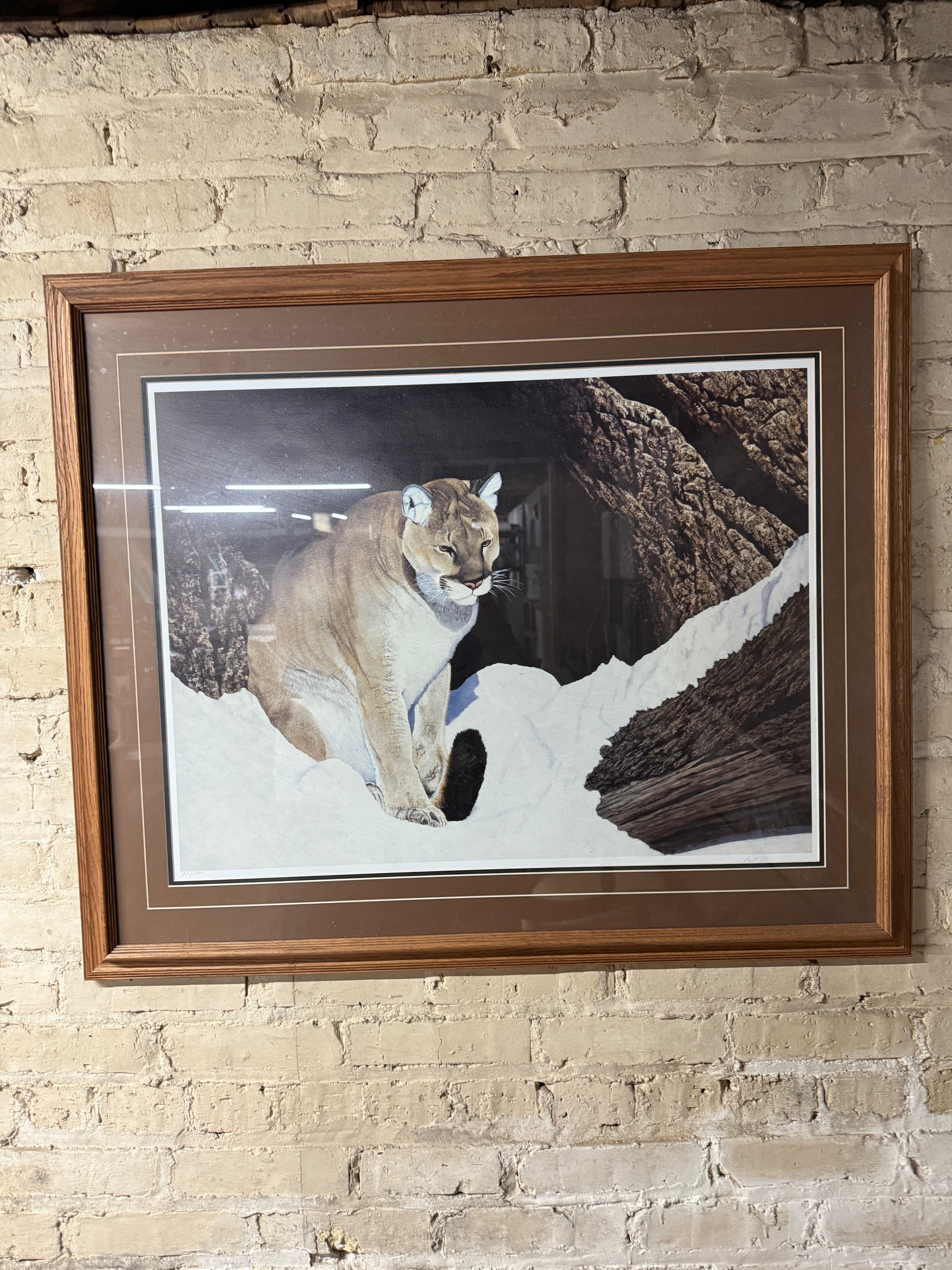 Ray Whitson Cougar Art Print