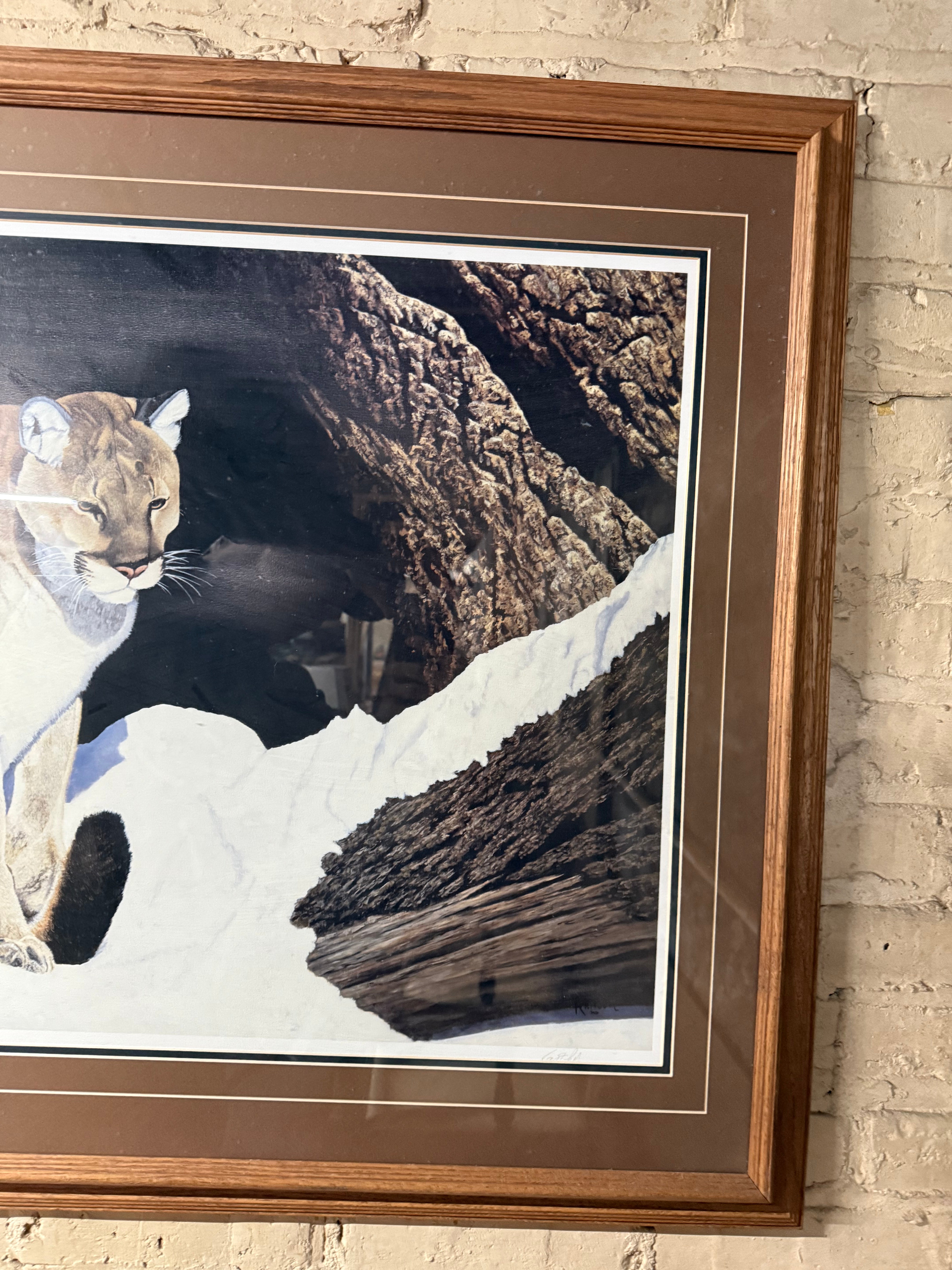 Ray Whitson Cougar Art Print