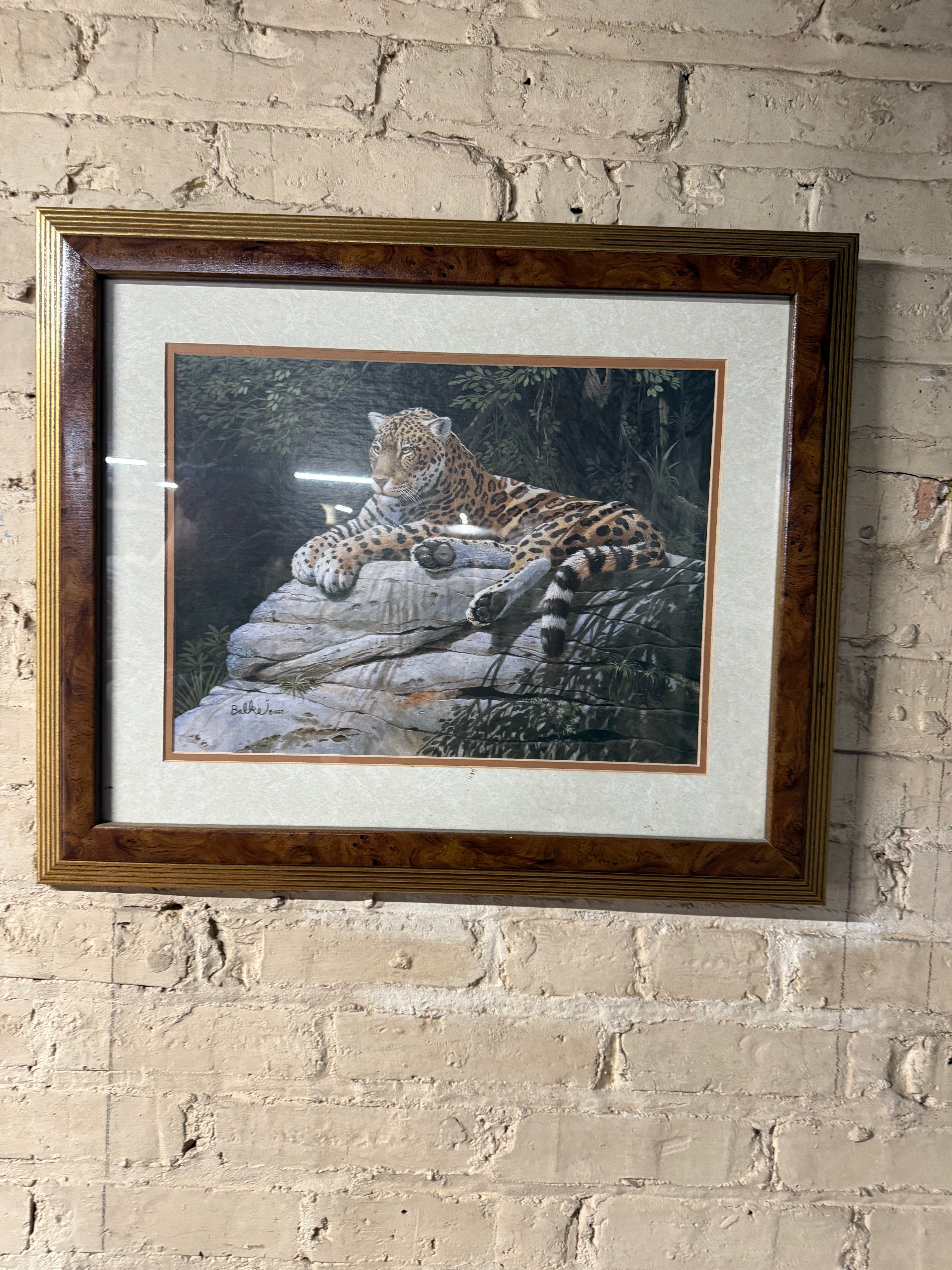 Don Balke Signed 1992 Leopard Jaguar Framed Print