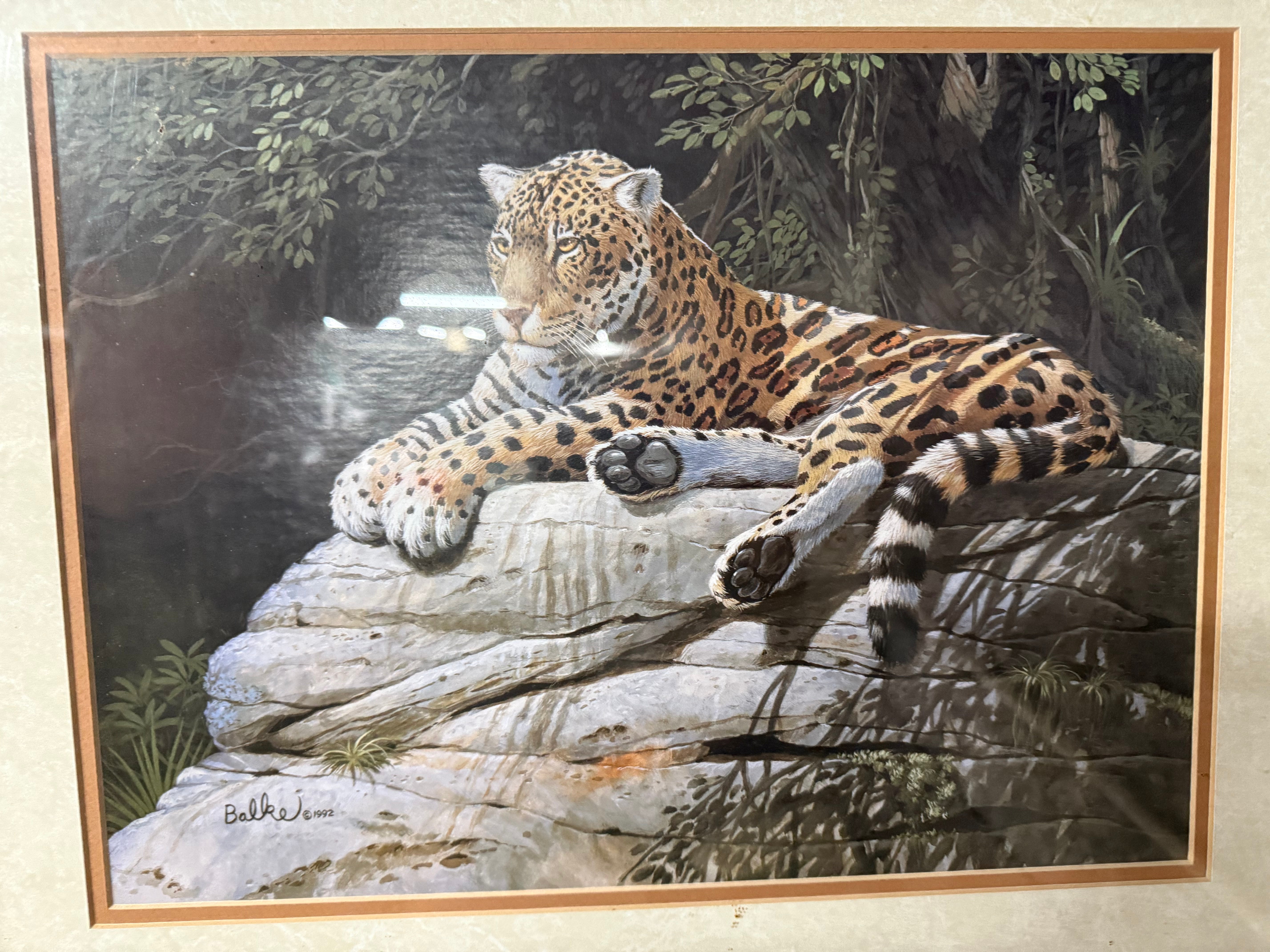 Don Balke Signed 1992 Leopard Jaguar Framed Print