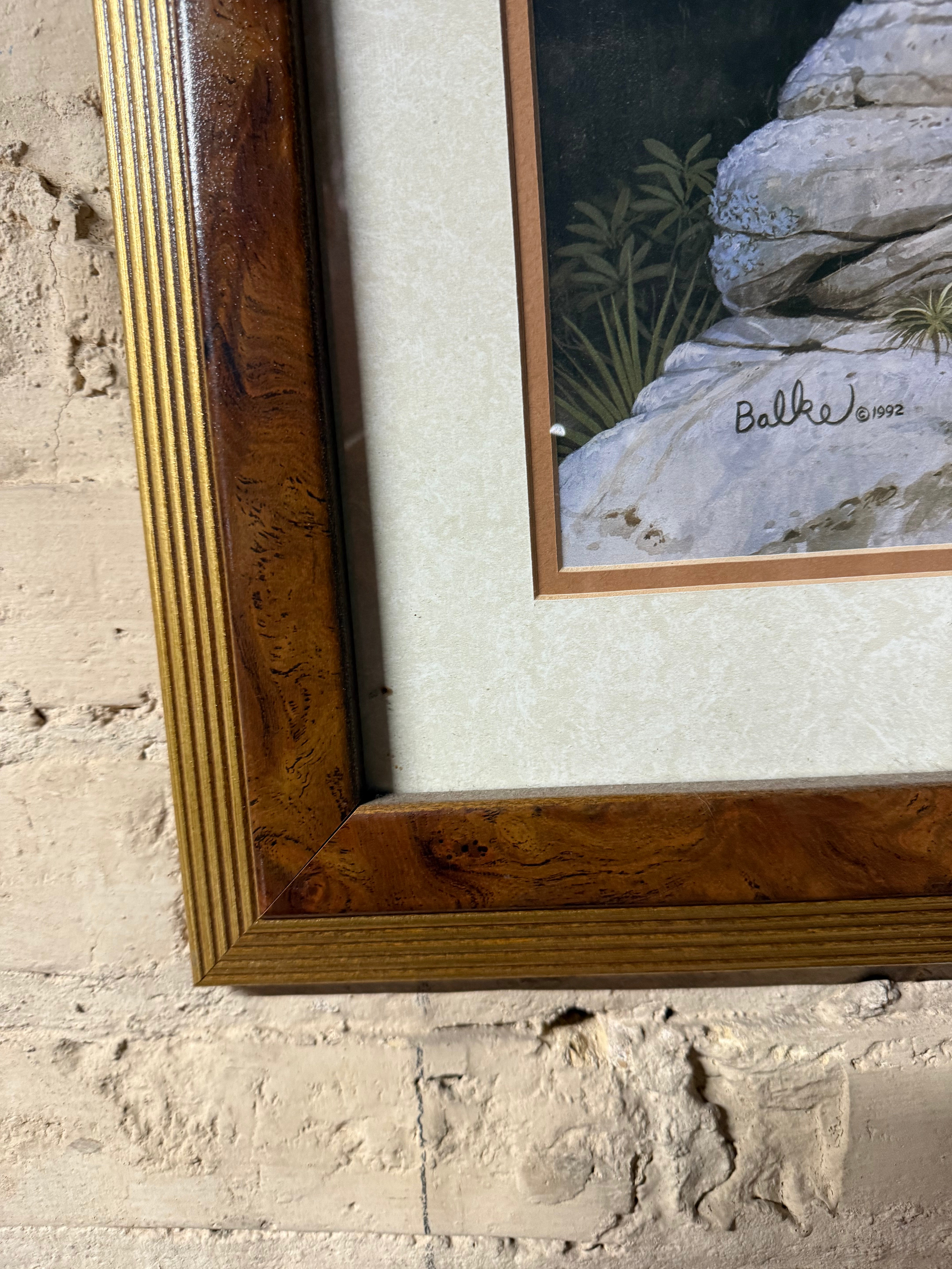 Don Balke Signed 1992 Leopard Jaguar Framed Print