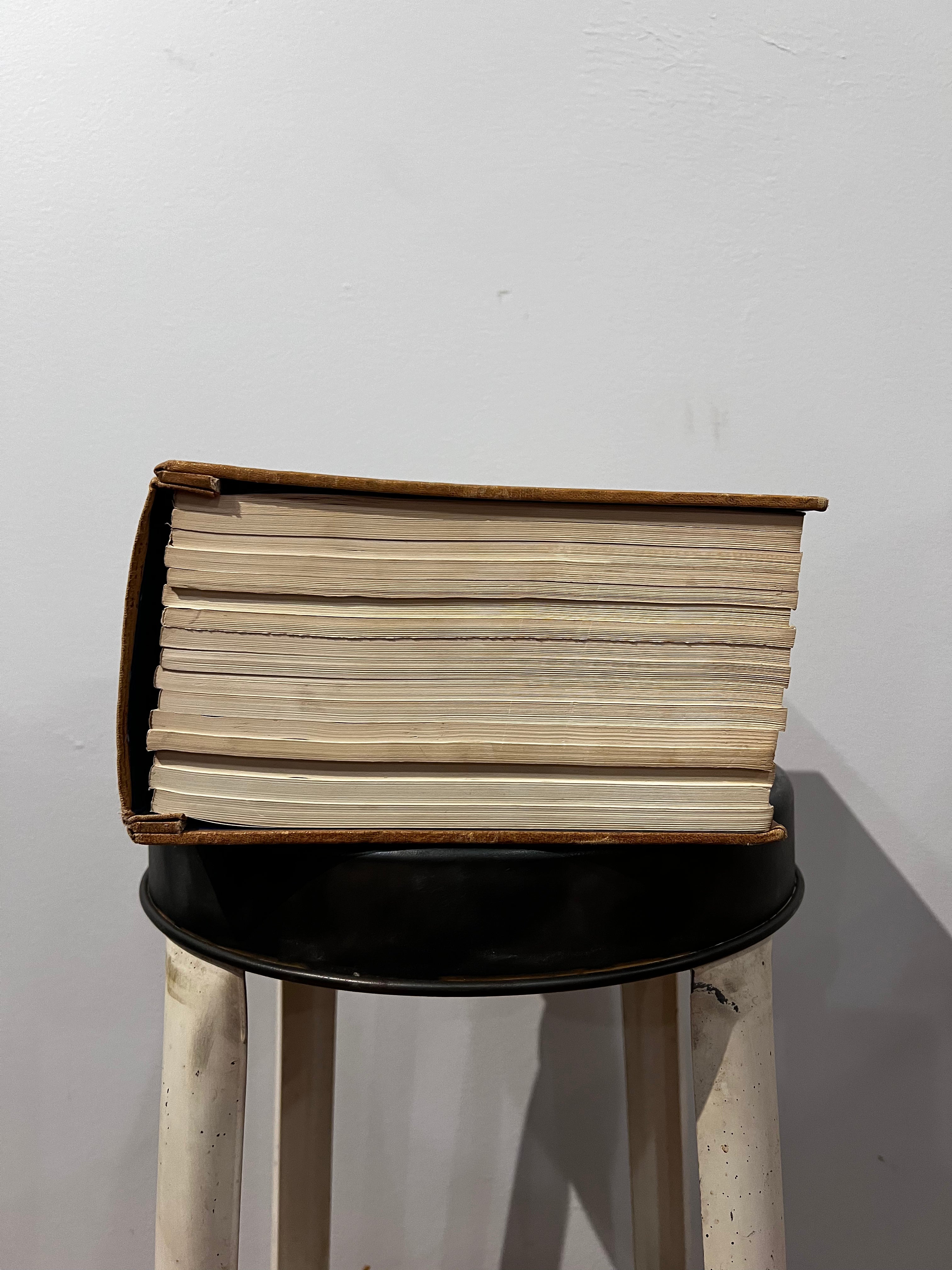 Vintage Dictionary