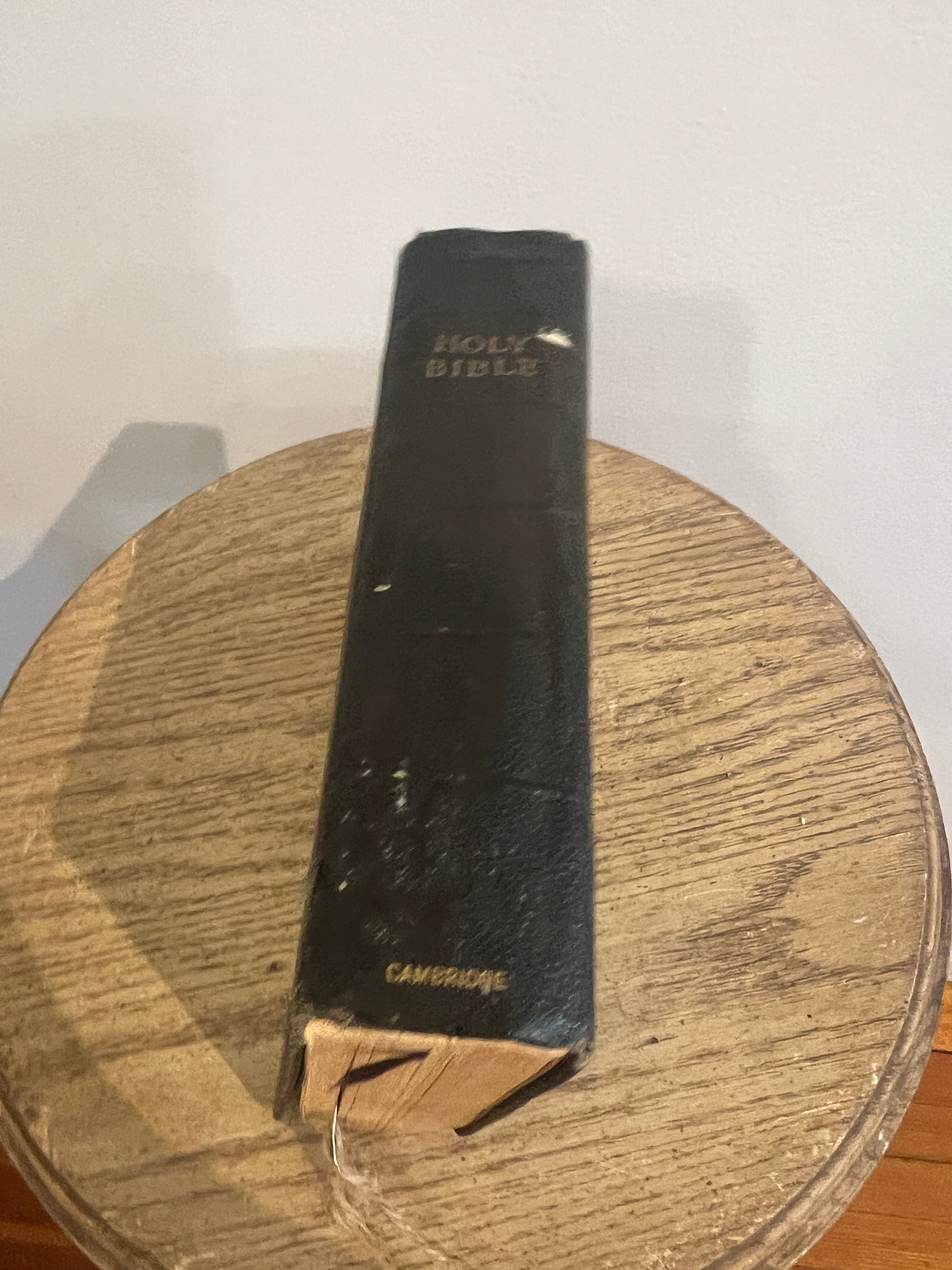 Vintage Bible