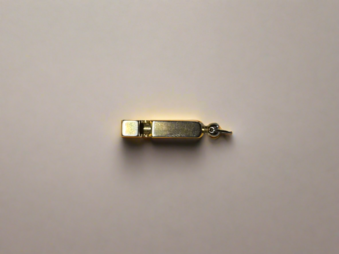 Gold Plated Whistle Pendant