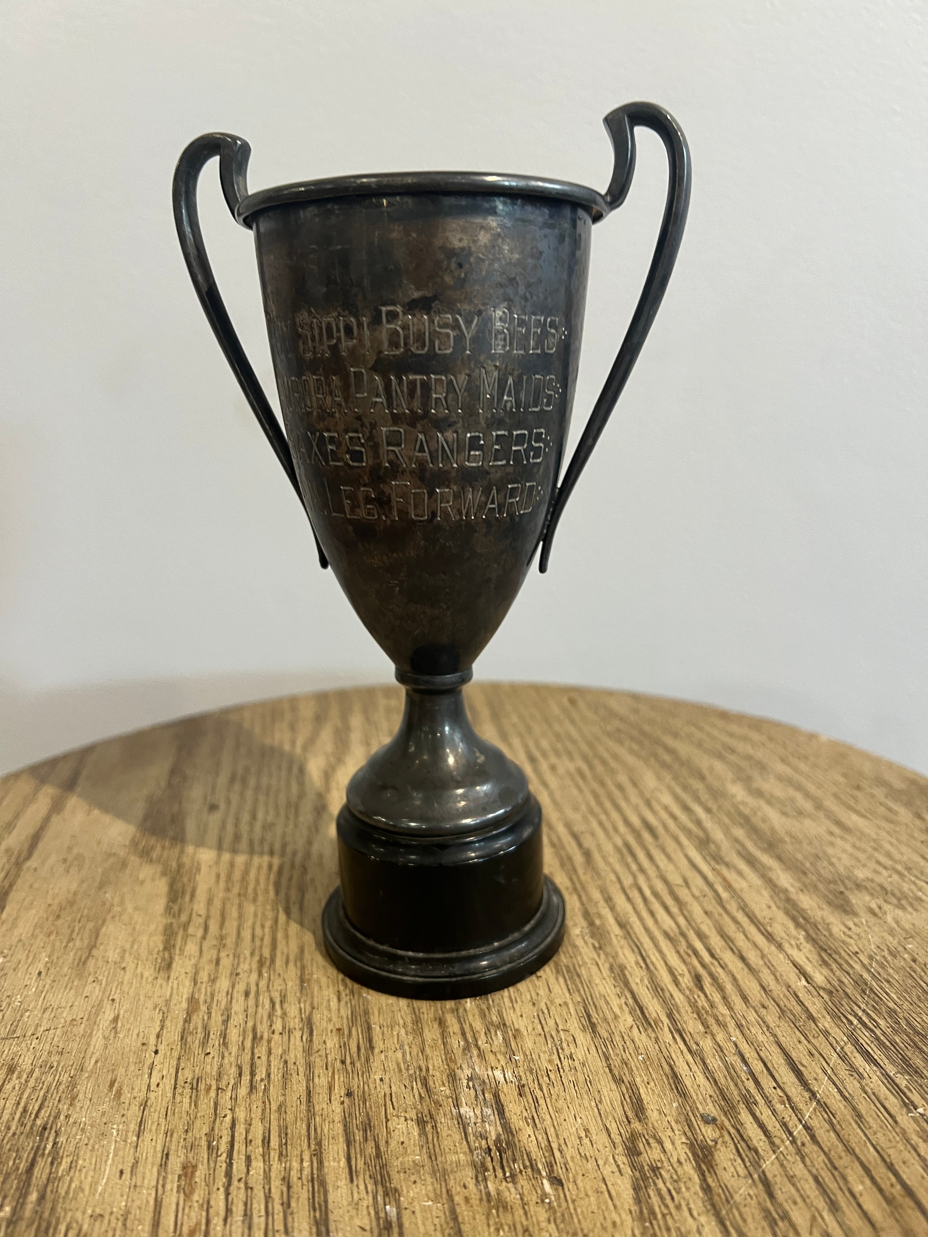 4H Poy Sippi Trophy