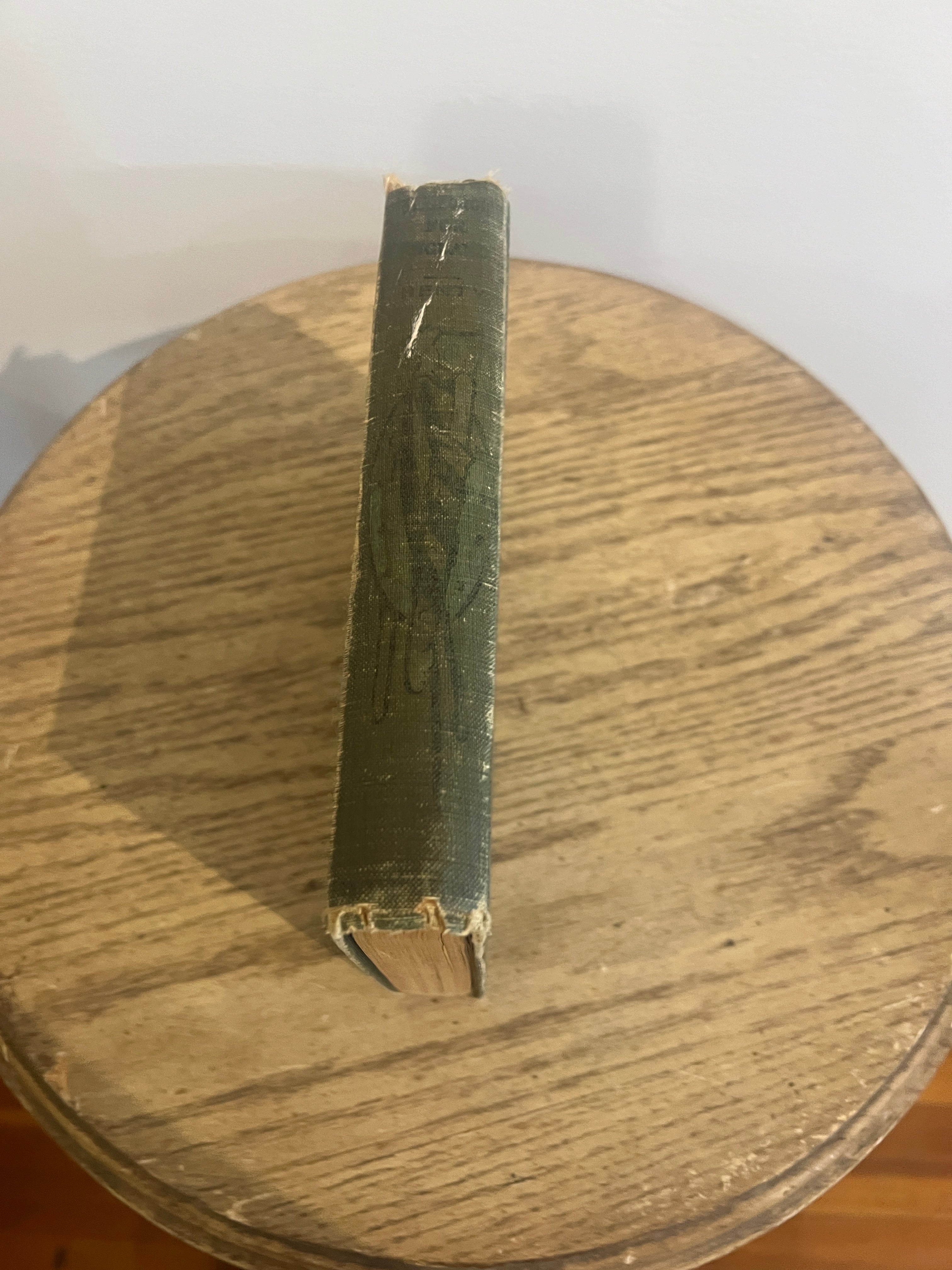 Scout Book