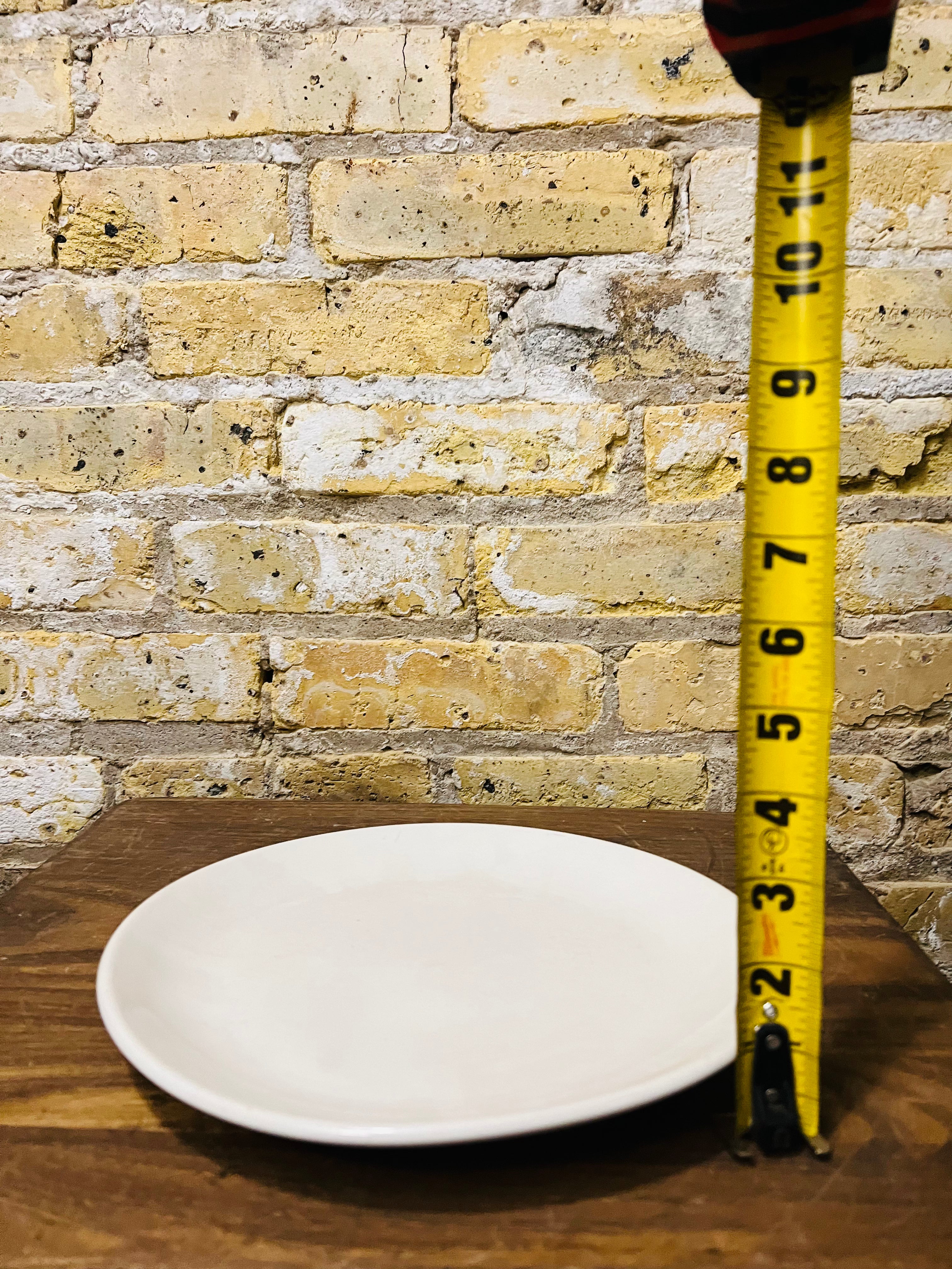 Homer Laughlin China Plate