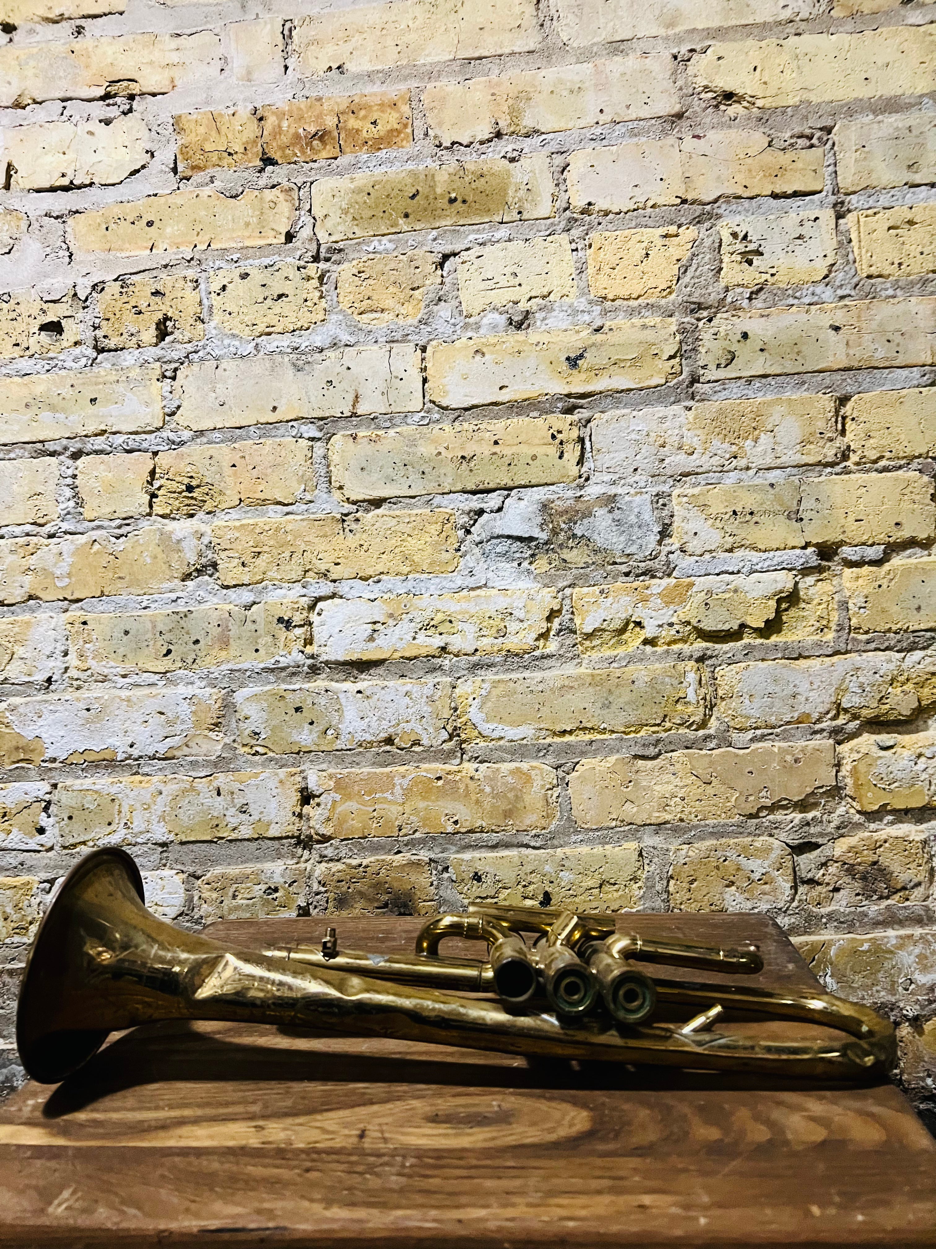 Pedler & Sons Trumpet not working order, but great wall art.