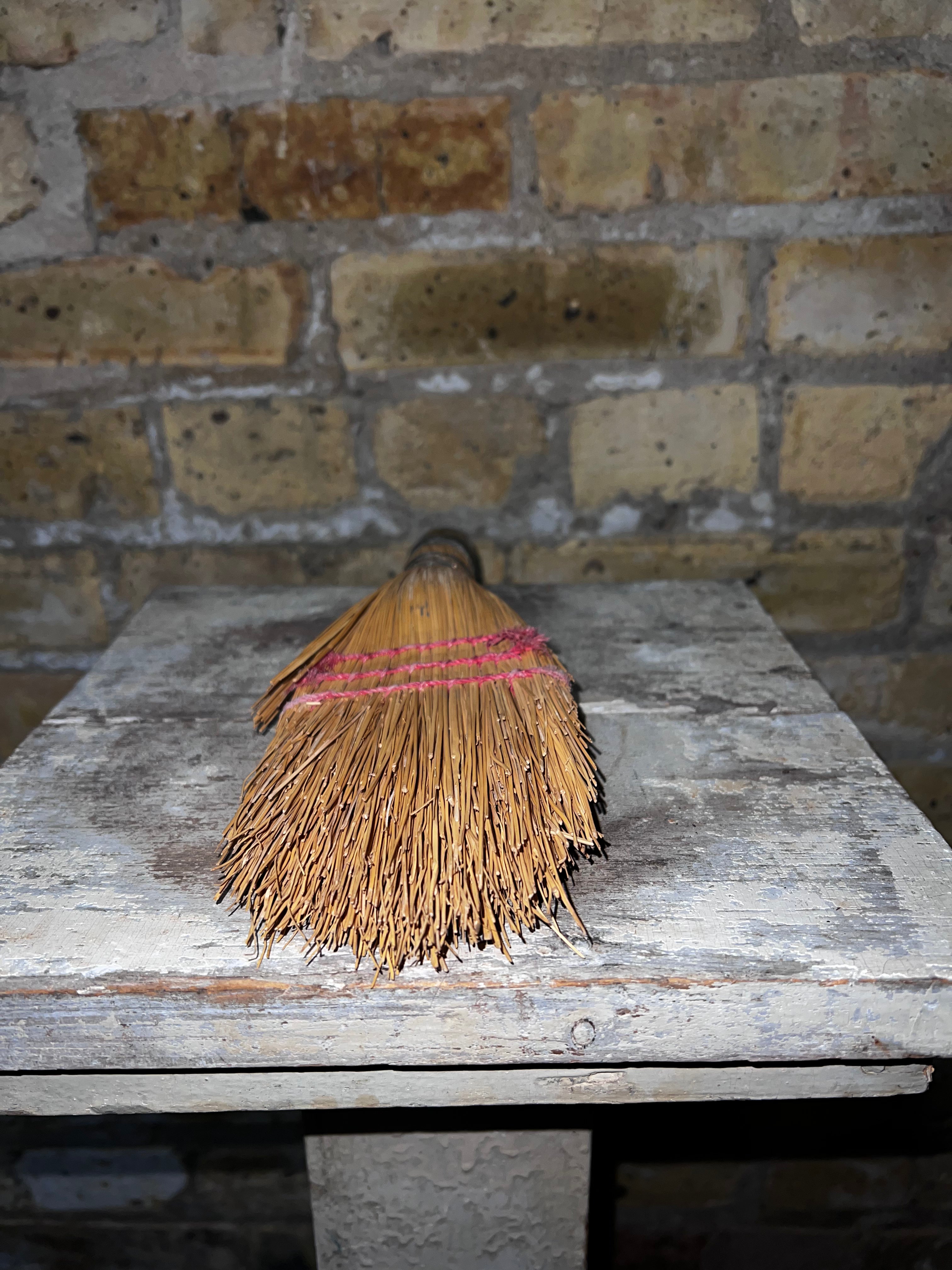 Whisk Broom