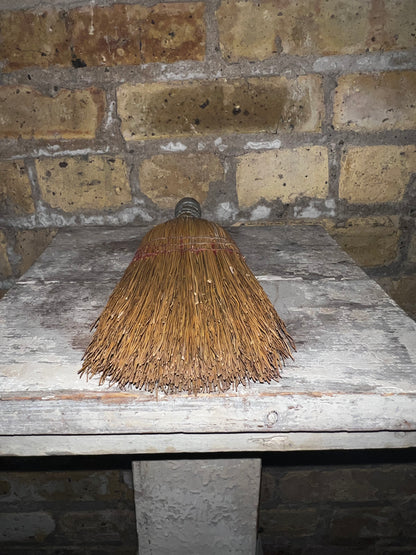 Whisk Broom