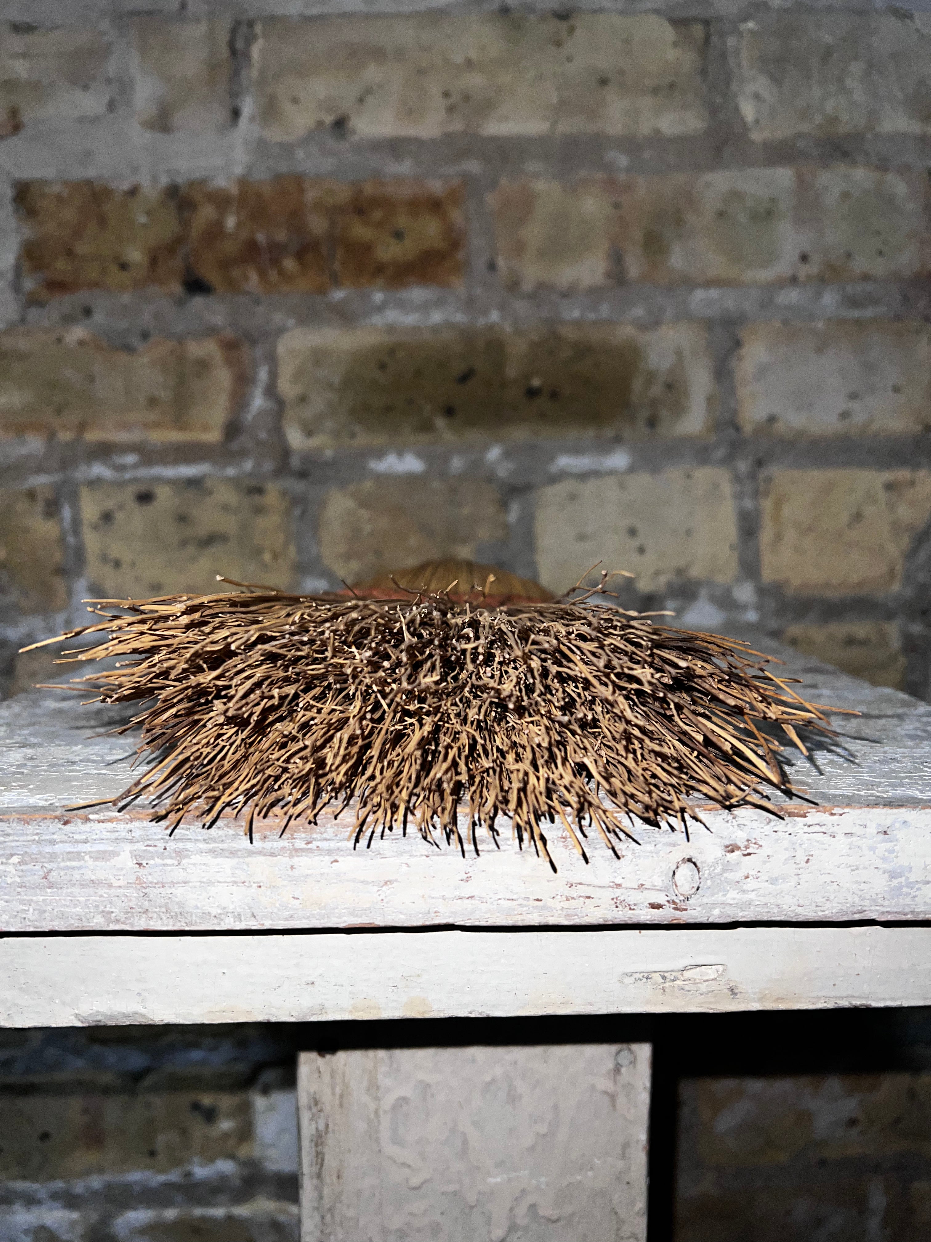 Vintage Whisk Broom