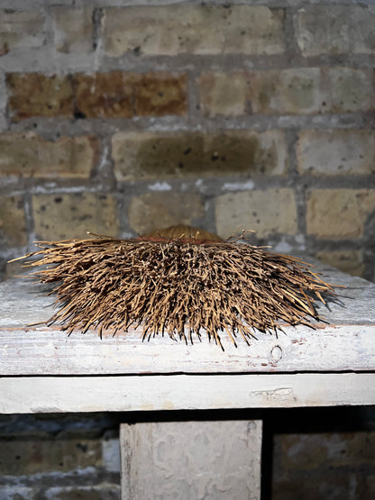 Vintage Whisk Broom
