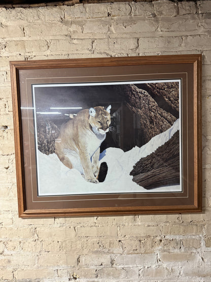 Ray Whitson Cougar Art Print