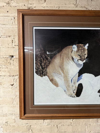 Ray Whitson Cougar Art Print