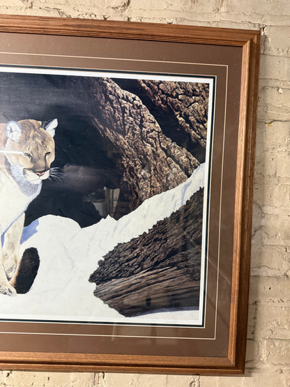 Ray Whitson Cougar Art Print