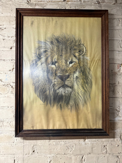 Hans P. Leutcke Lion Art Print