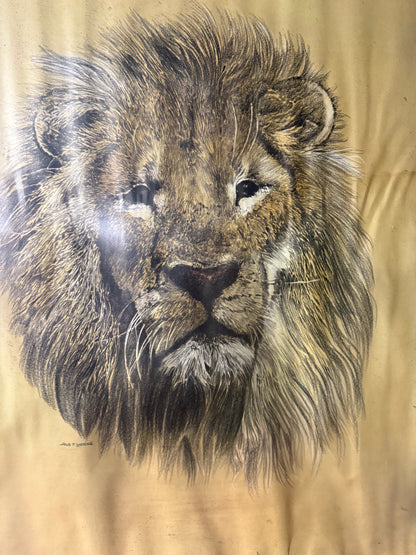 Hans P. Leutcke Lion Art Print