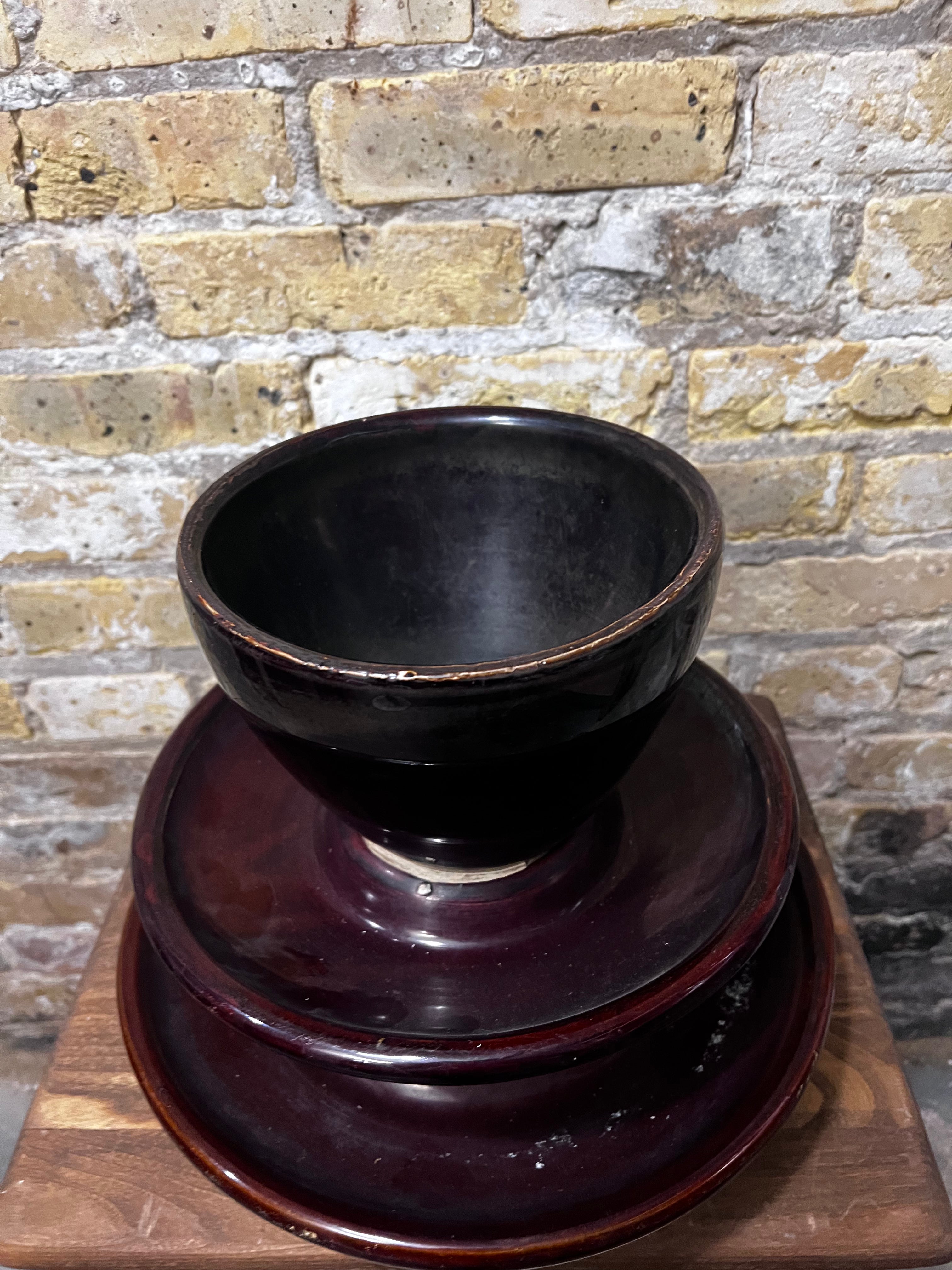 Large Brown Insulator