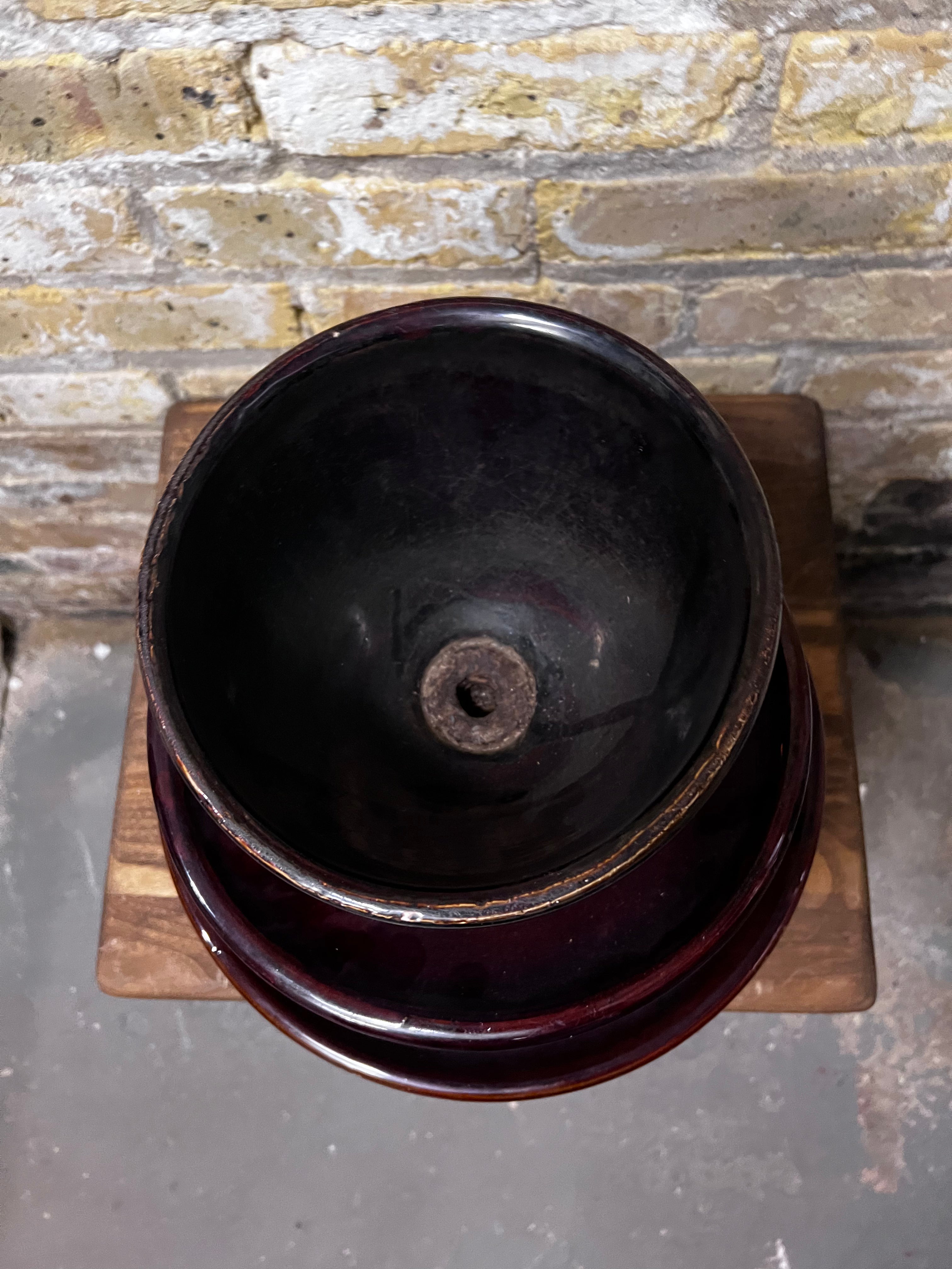 Large Brown Insulator