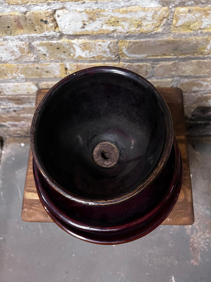 Large Brown Insulator
