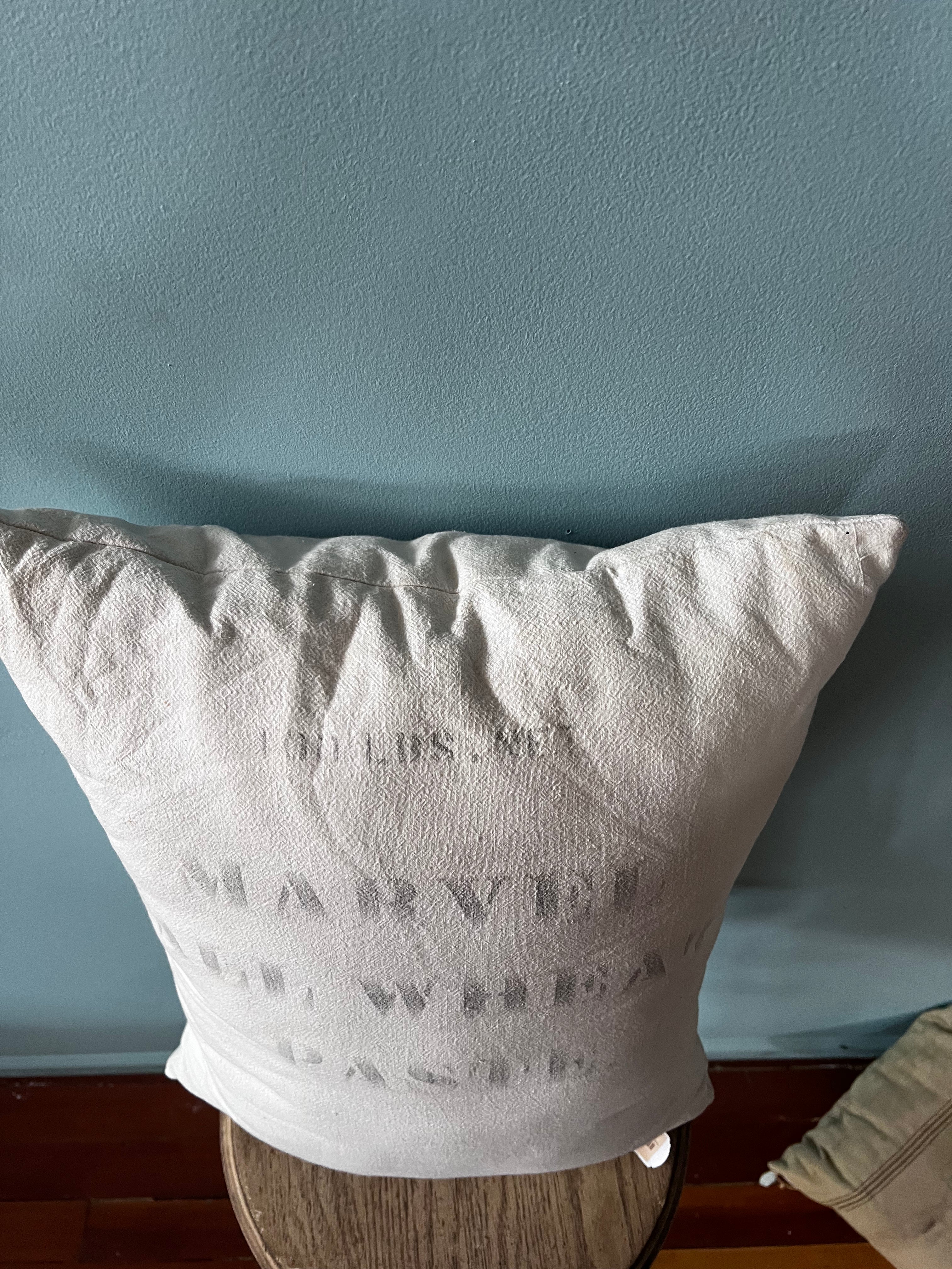 Marvel Paste Pillow