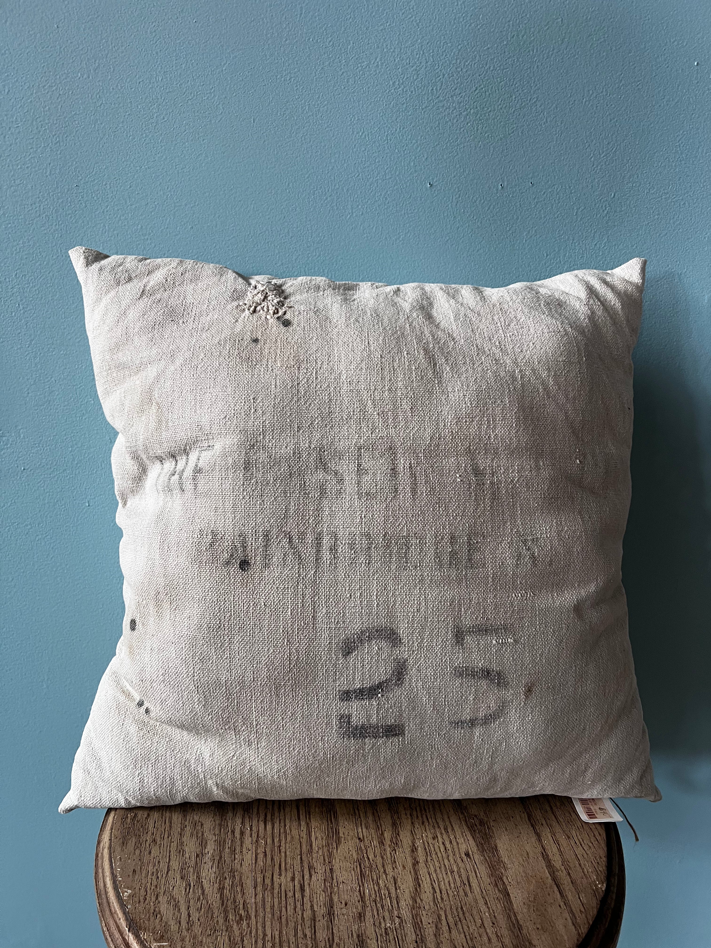 25 Grain Pillow