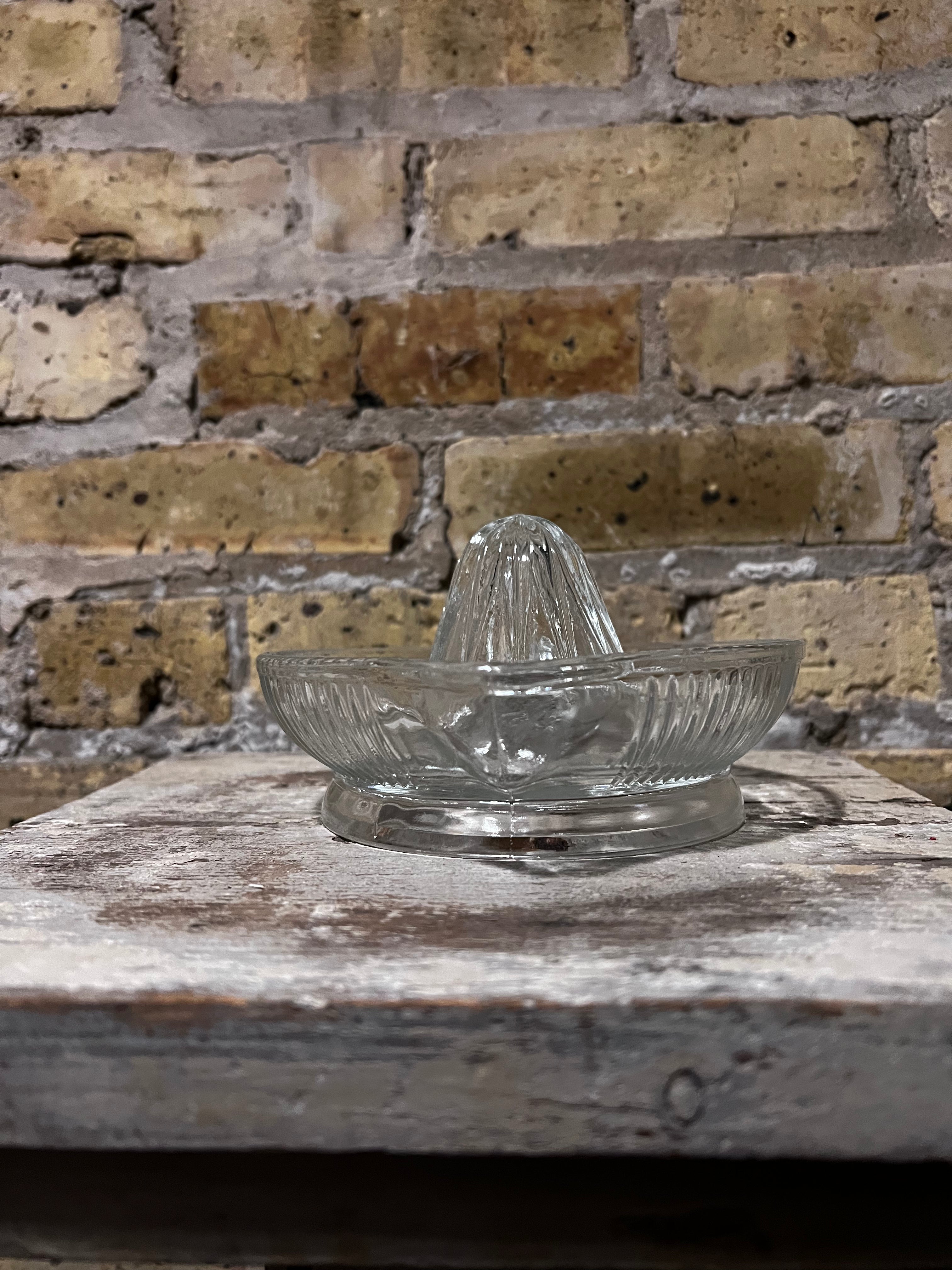 Citrus Juicer - Lrg