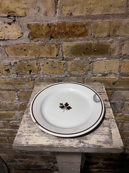 Royal ironstone plate - Alfred Meakin