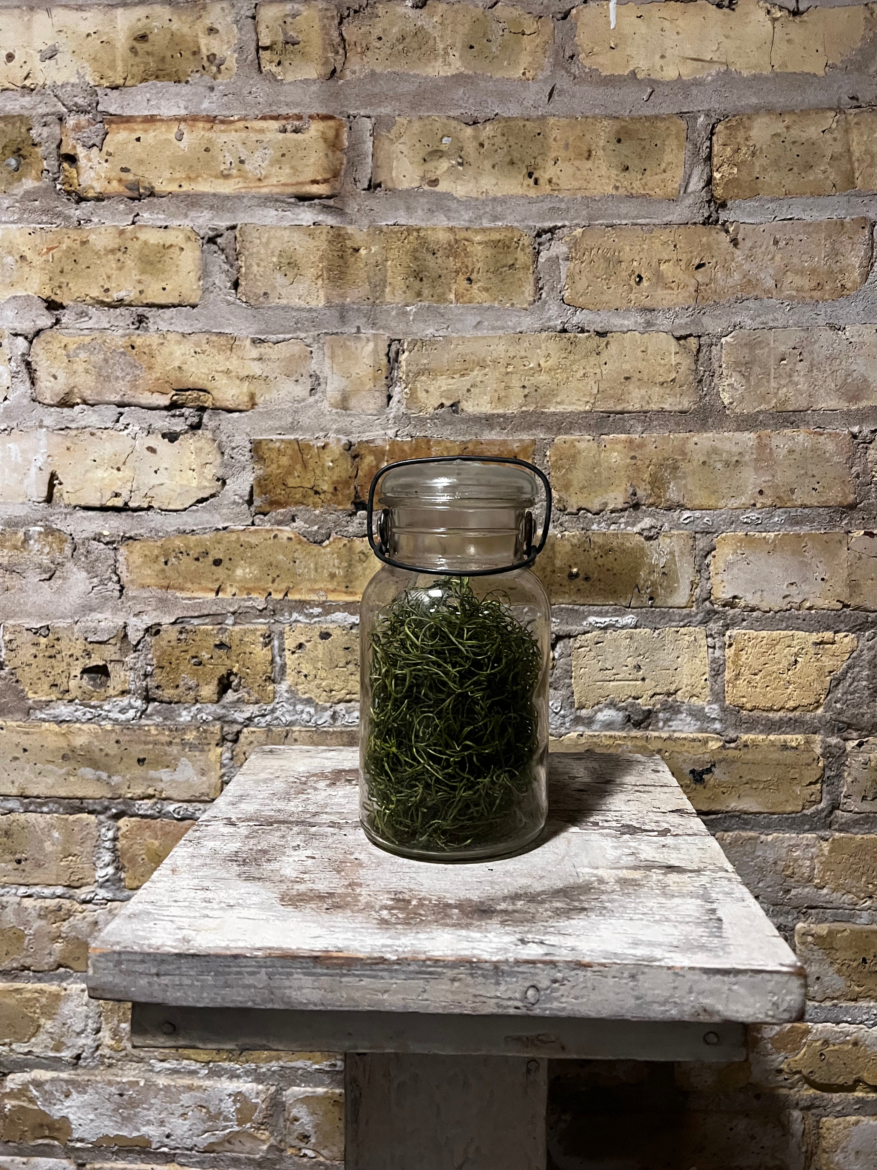 Drey Canning Jar
