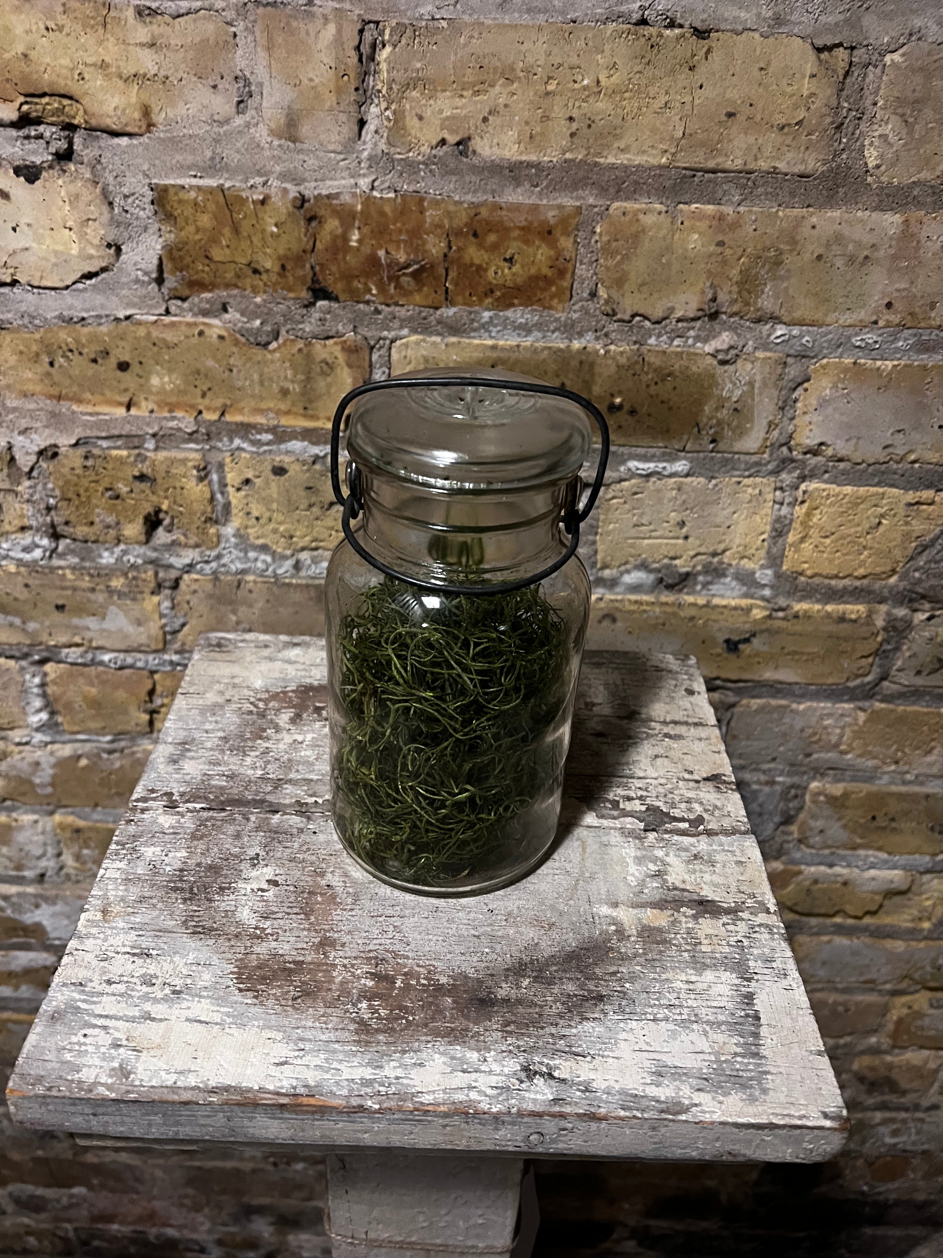Drey Canning Jar