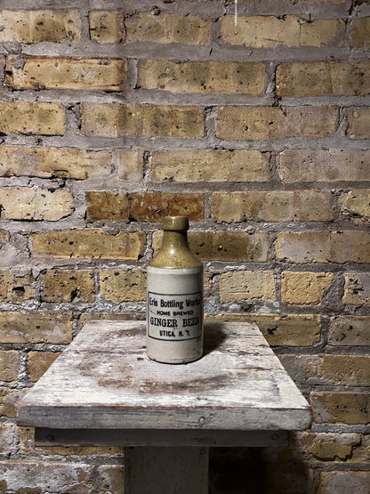 Eng Ginger Beer Bottle
